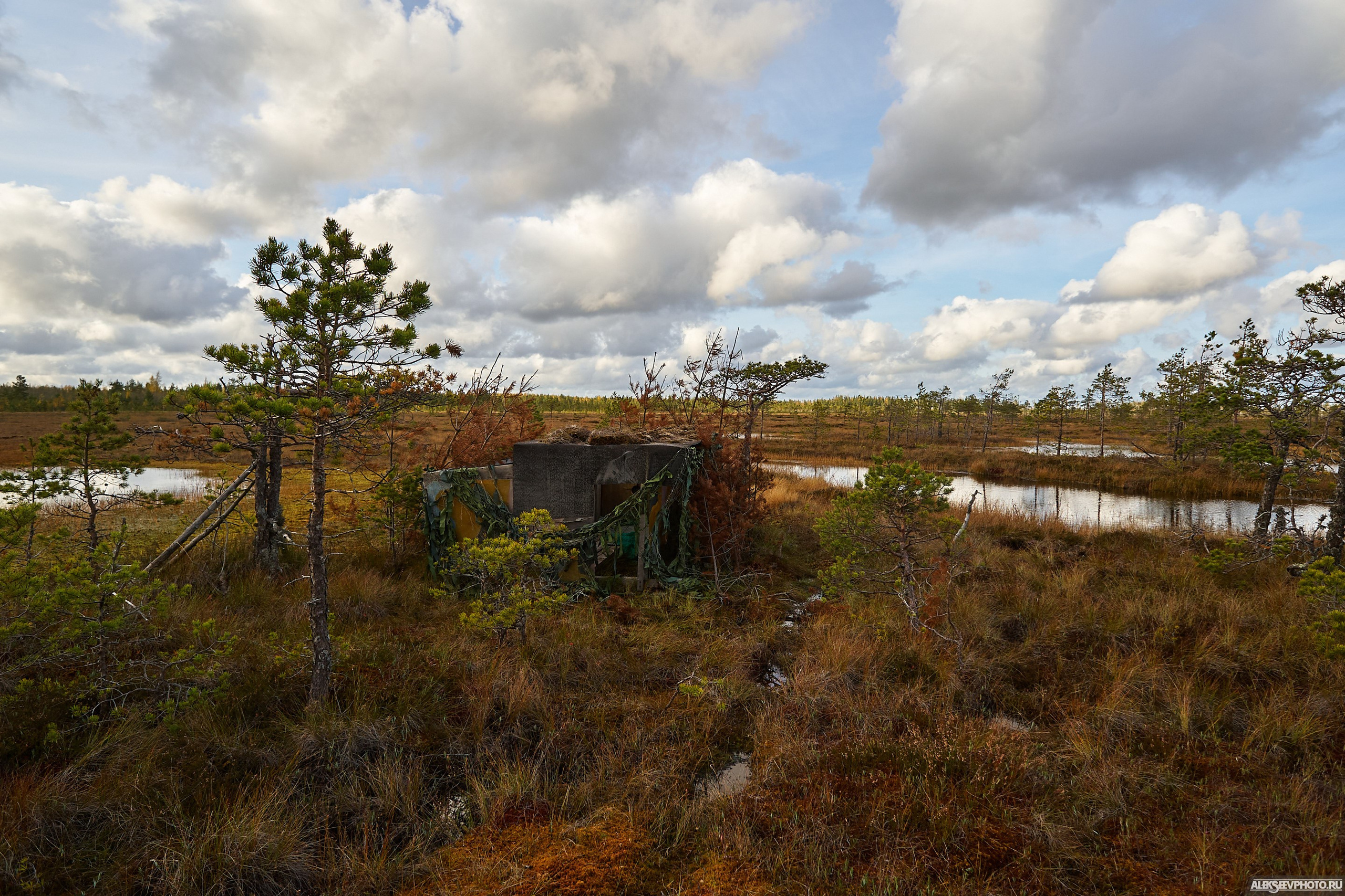 2020.10.10 — Финал Кубка ДОСААФ — спецучастки 1го дня. Фотограф Алексей Алексеев