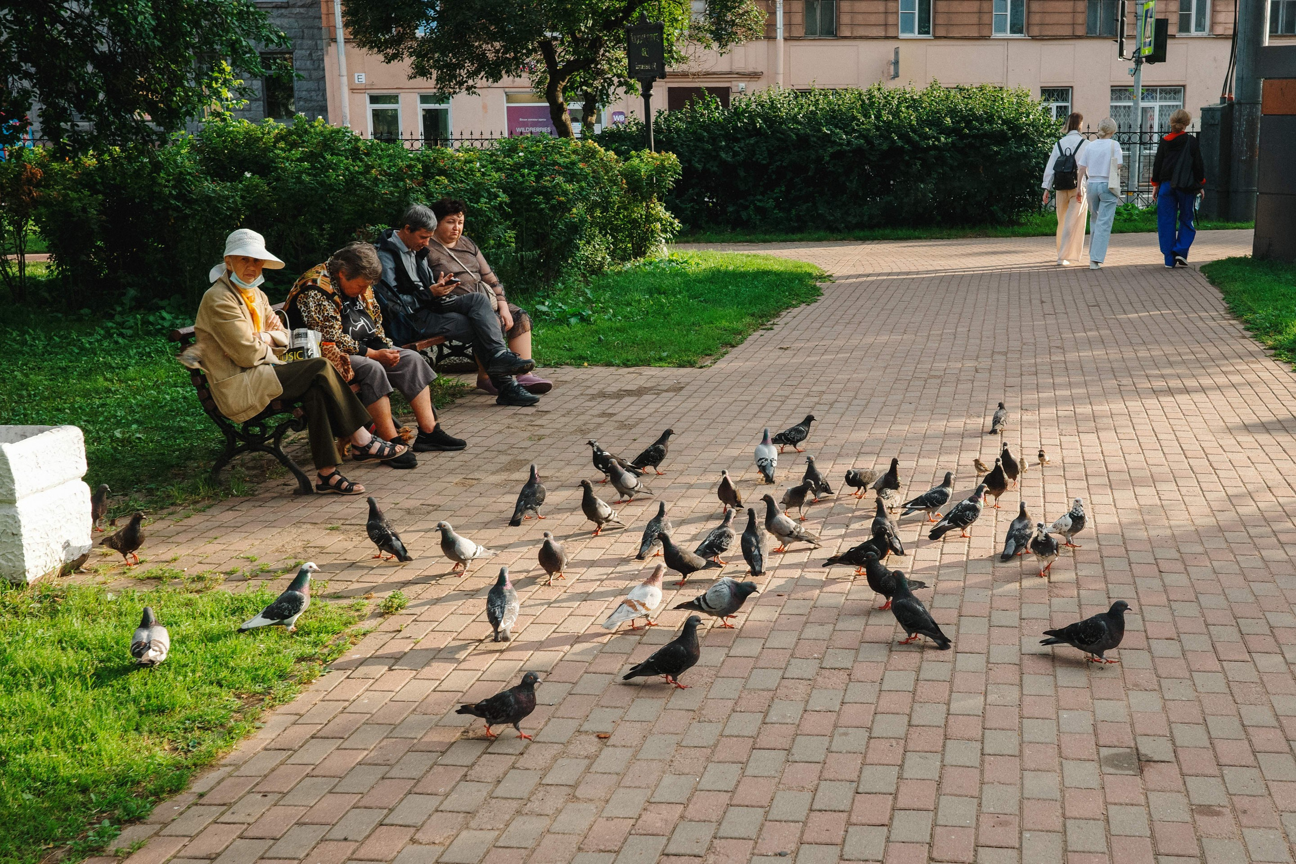 2024.08. Фотограф Алексей Алексеев