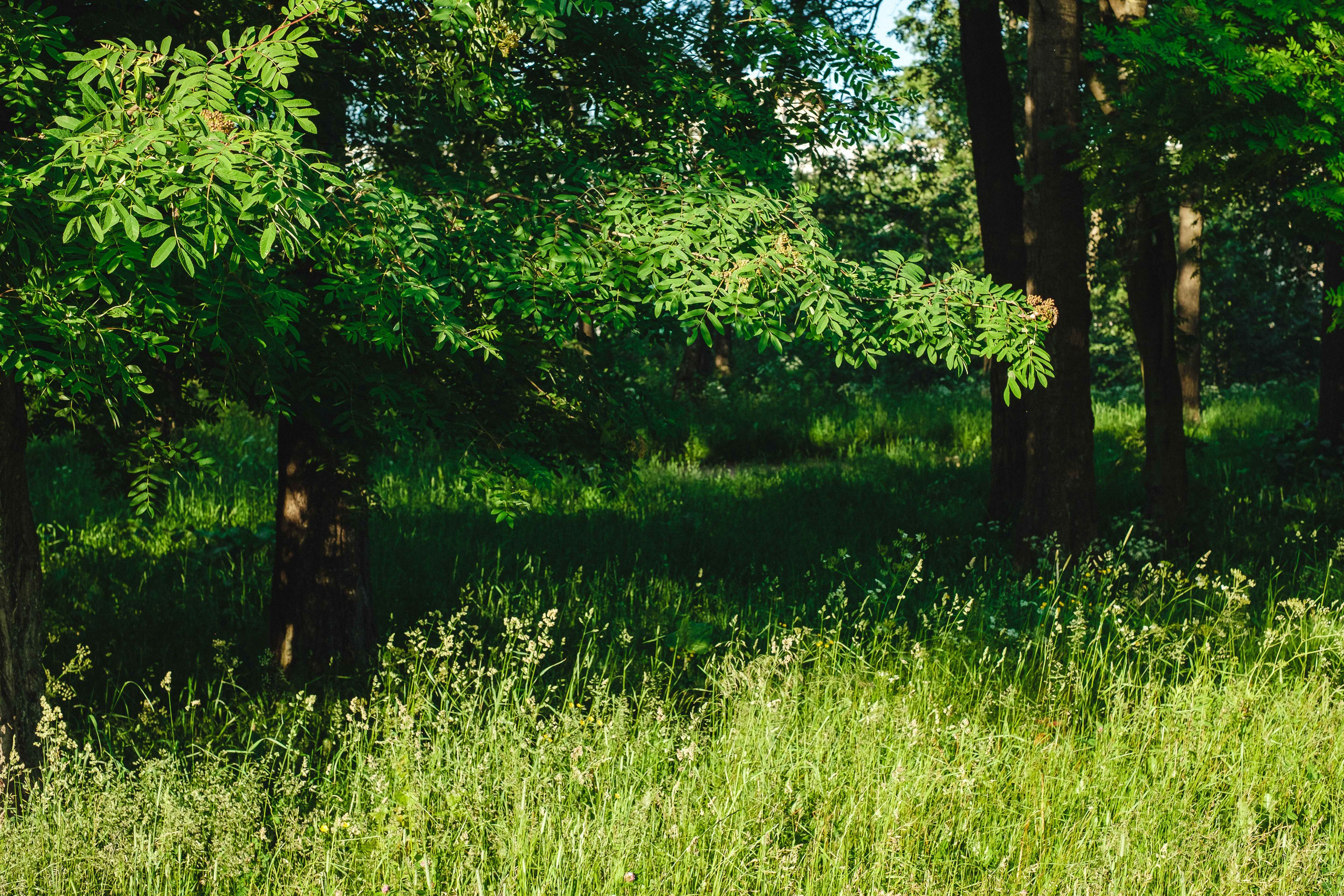 2022.06. Фотограф Алексей Алексеев