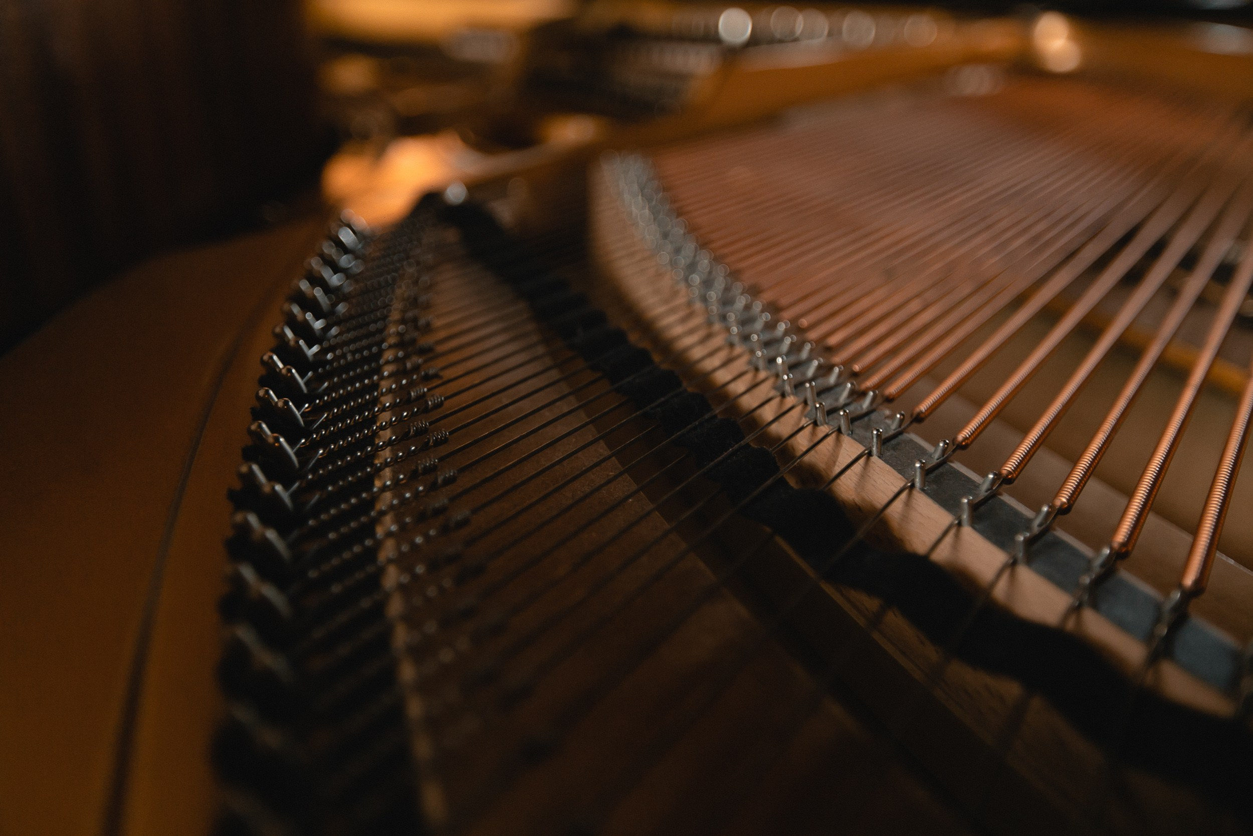 Репортажи. Репортажный фотограф Андрей Герасимов