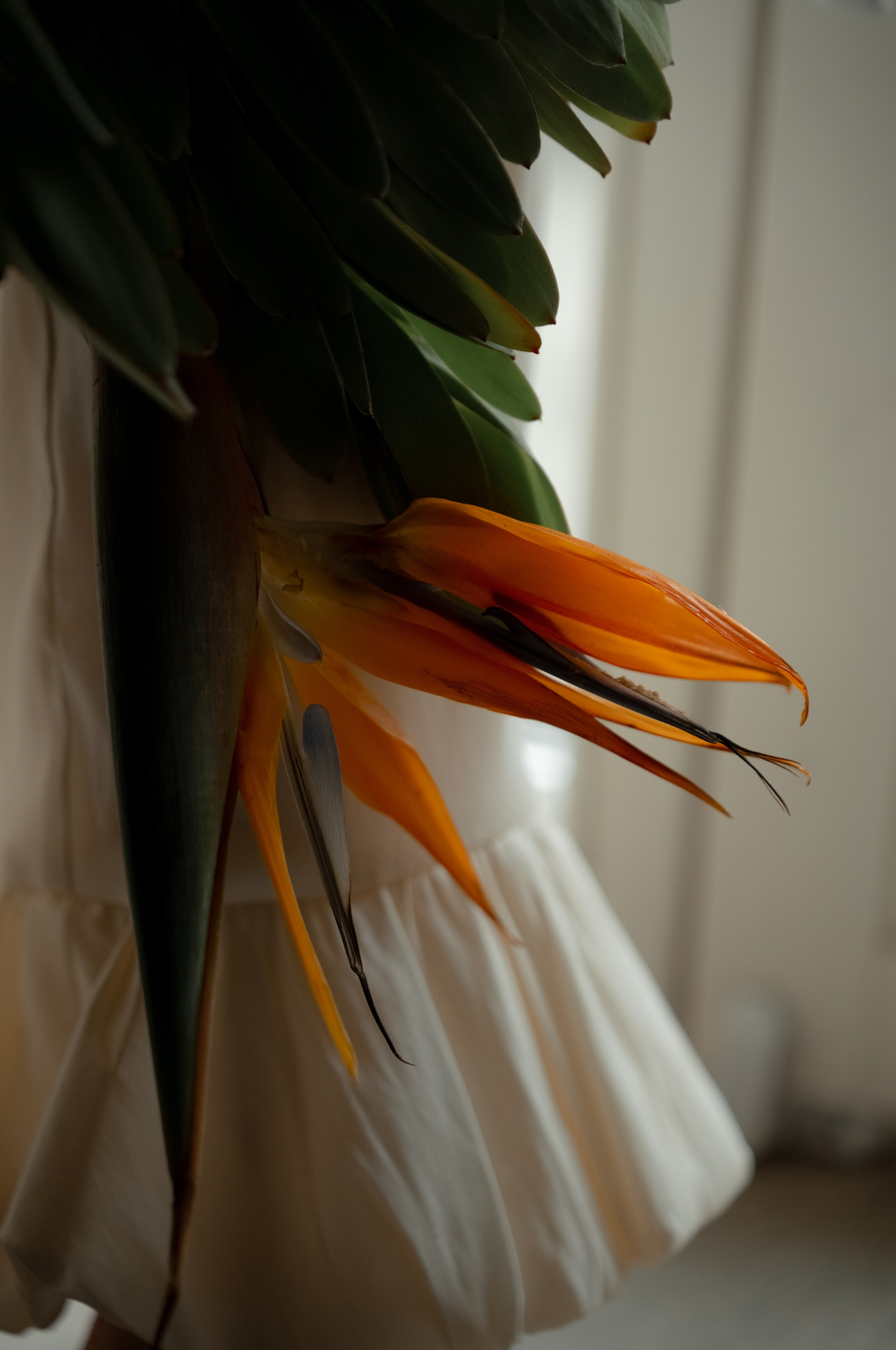 Liza. Свадебный фотограф МОСКВА, КРЫМ, СМОЛЕНСК АЛЯ КОНОВАЛОВА