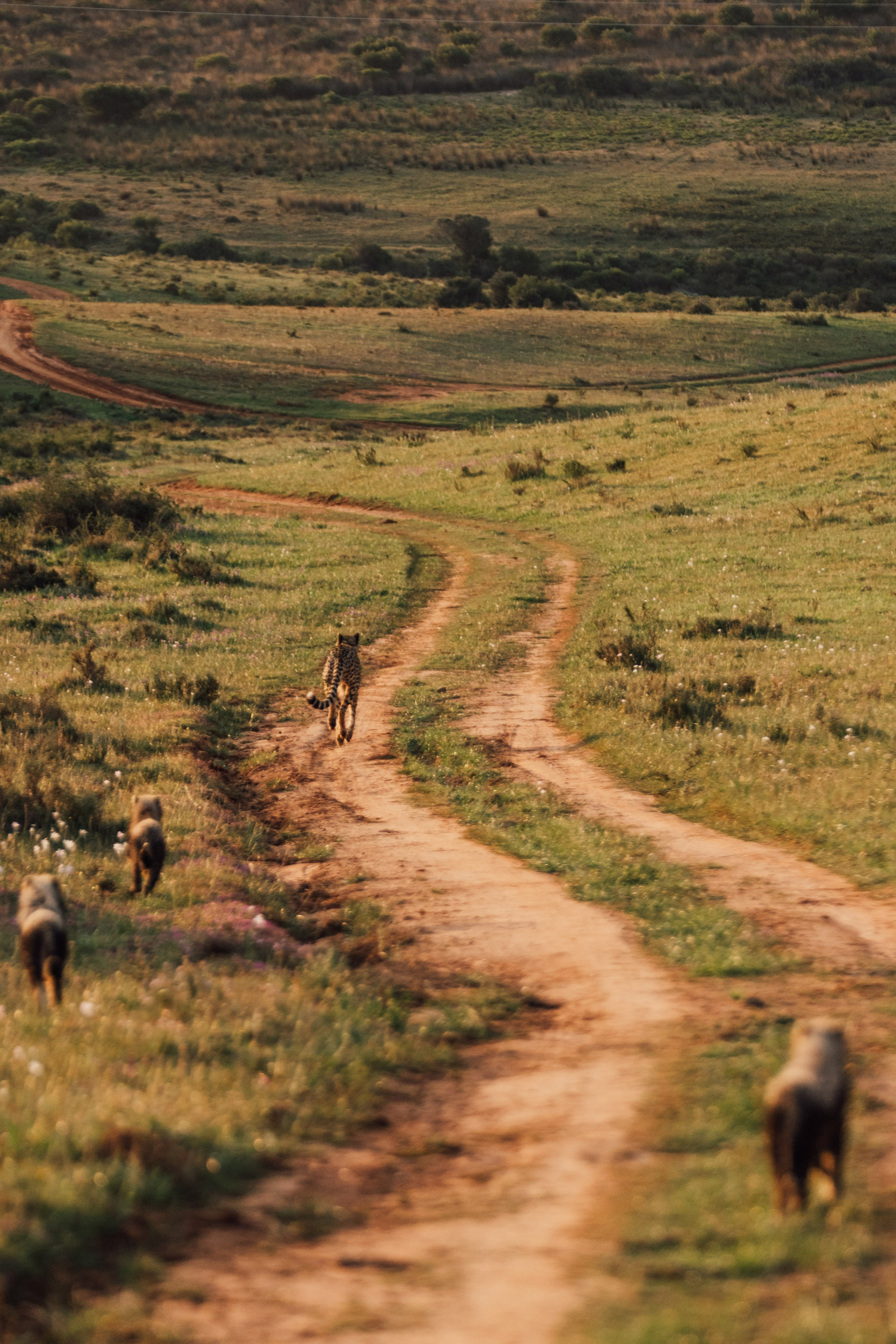@oljiofilm: Олег Иванов — фотограф