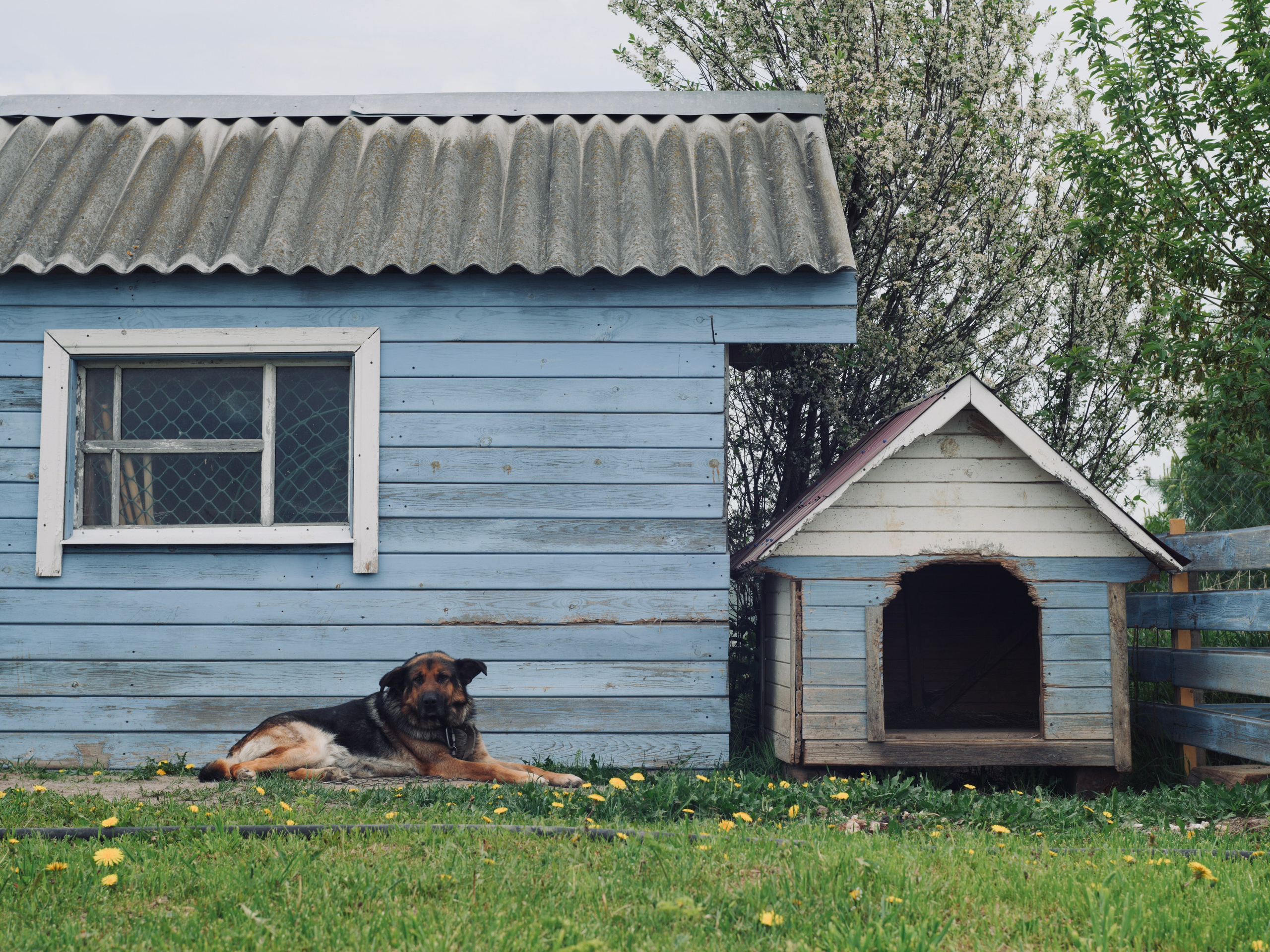 Пространство в цвете. Событийный фотограф в Москве Юлия Папиянц