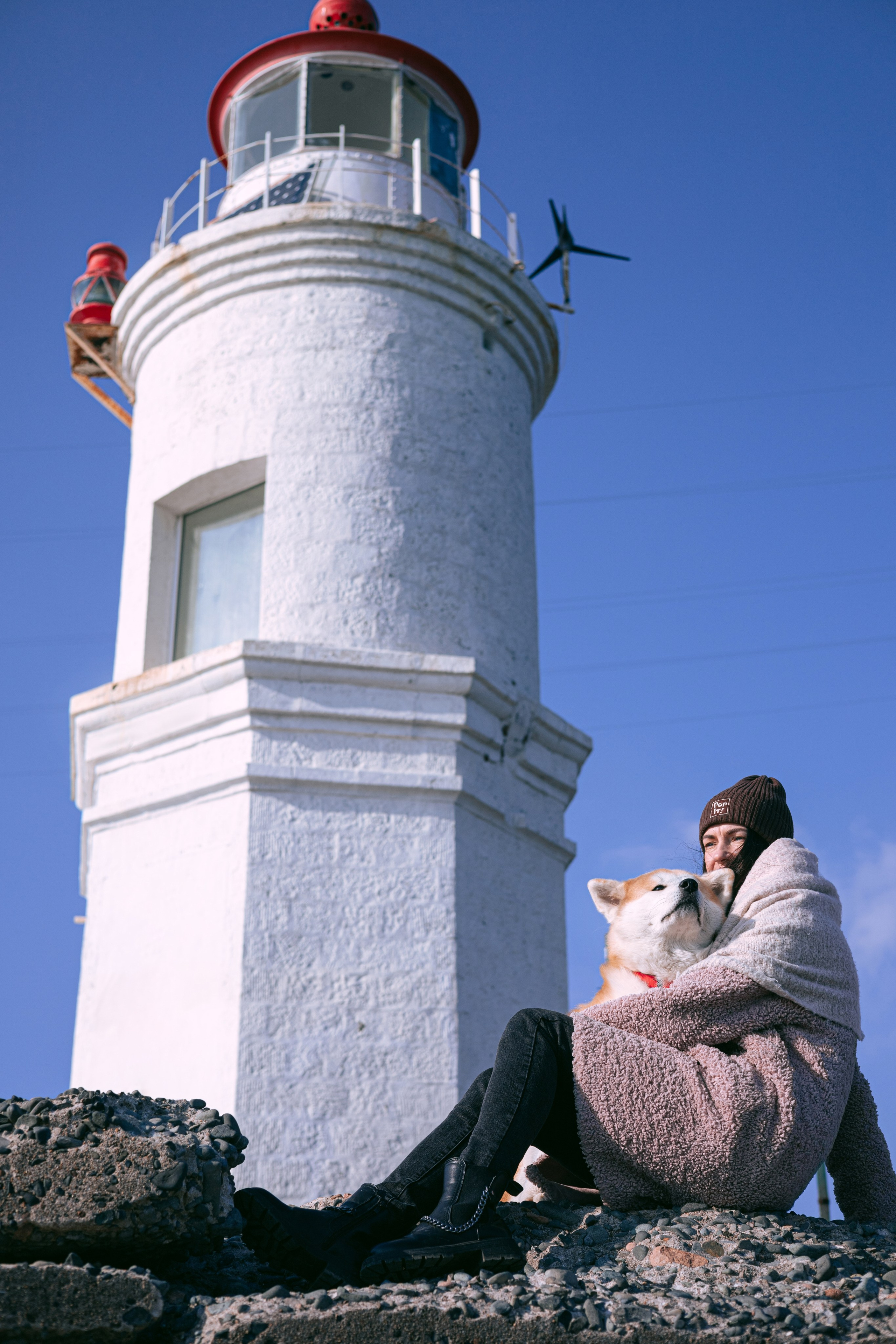 Мария и Бейла. Фотограф — анималист Владивосток, Алина