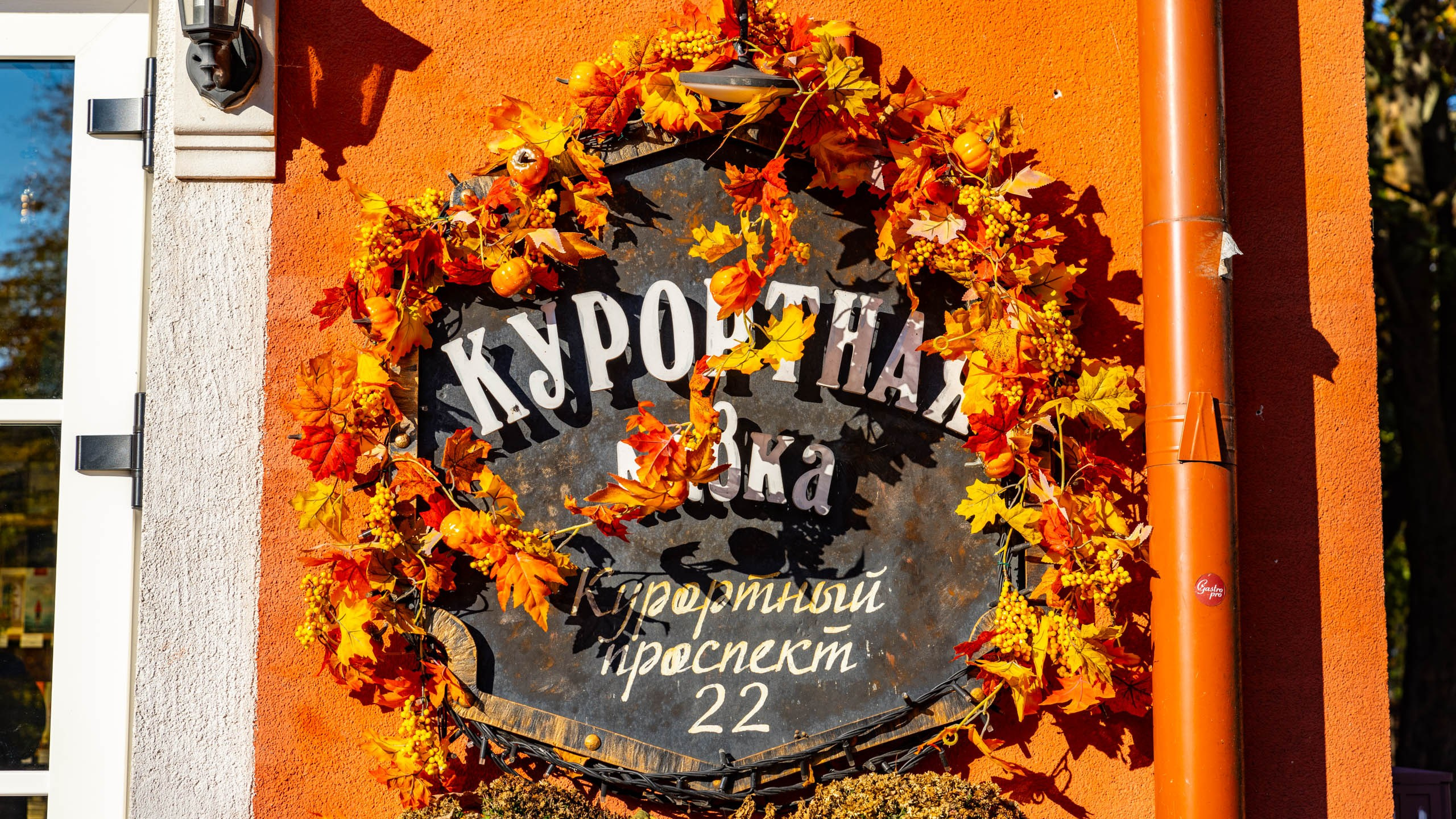 2024 10 Зеленоградск, Светлогорск, Куршская коса. Фотографии