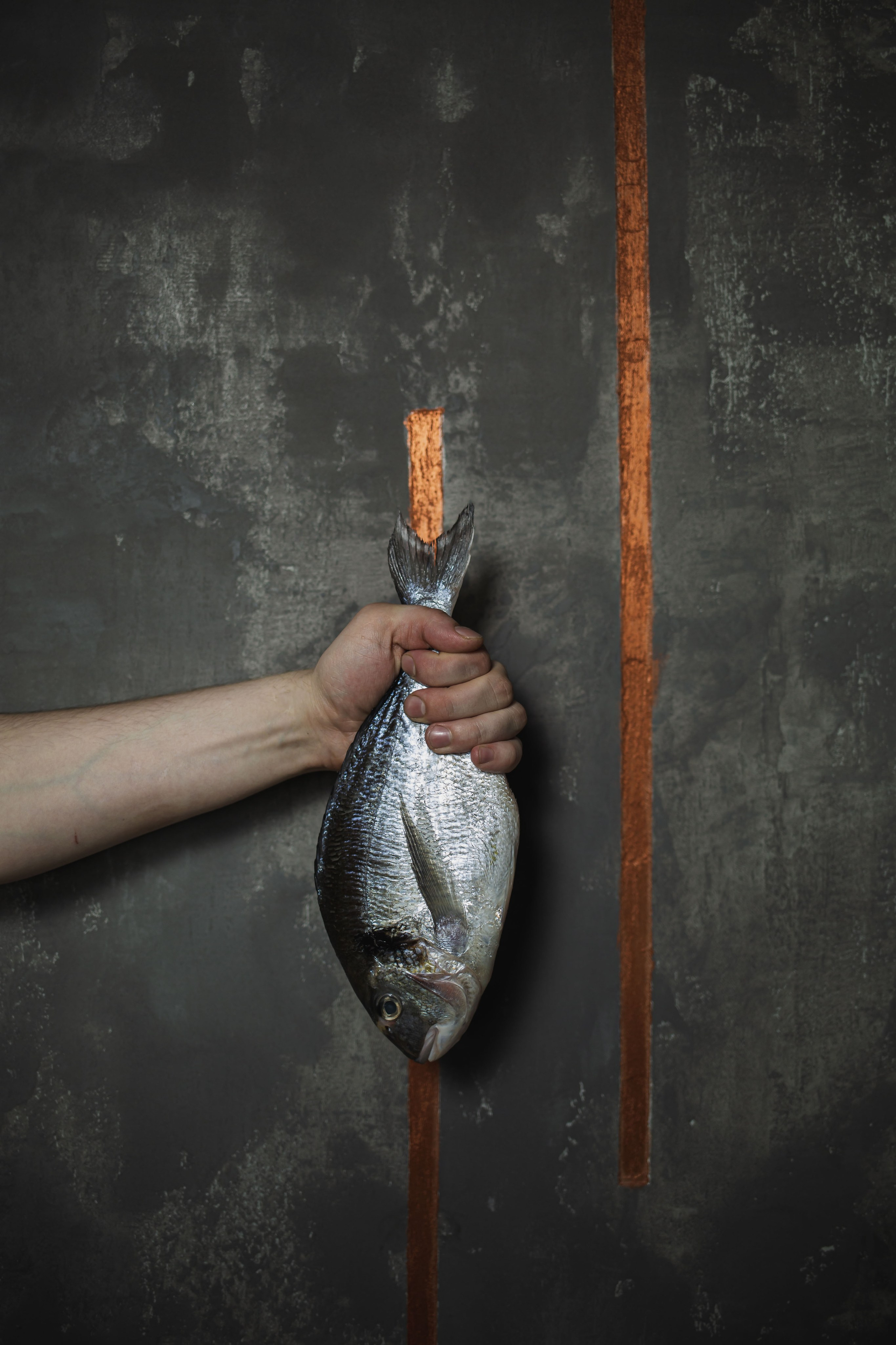 Предметкая и фуд фотография