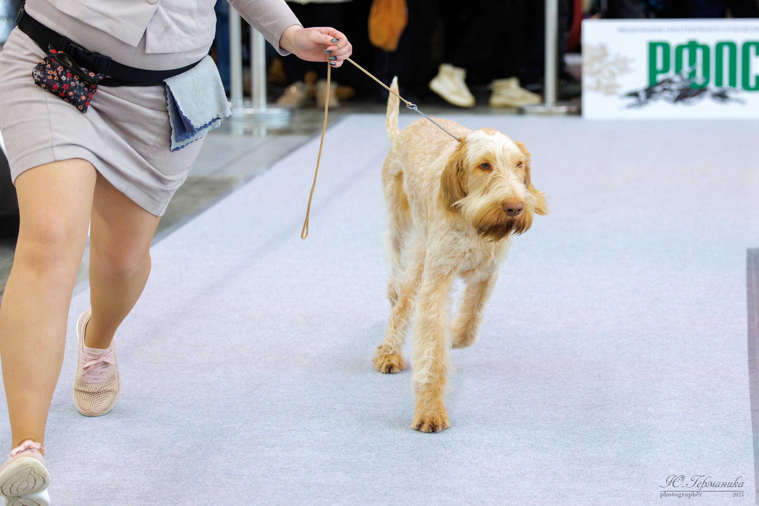 Сабанеевка Казань 25-26.01.2025. Фотограф-анималист Юлия Германика