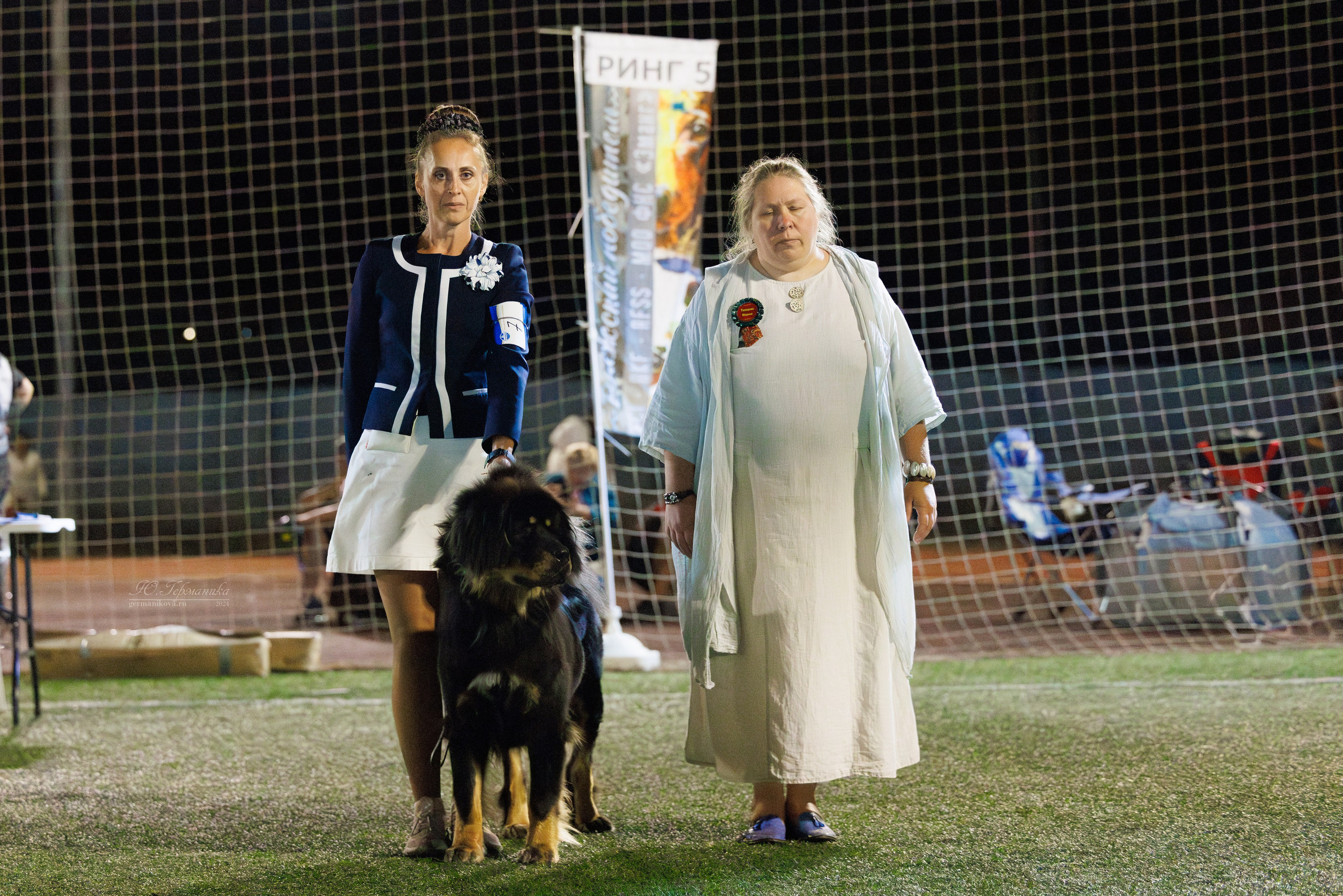 Волгоград 2-4.08.2024. Фотограф-анималист Юлия Германика