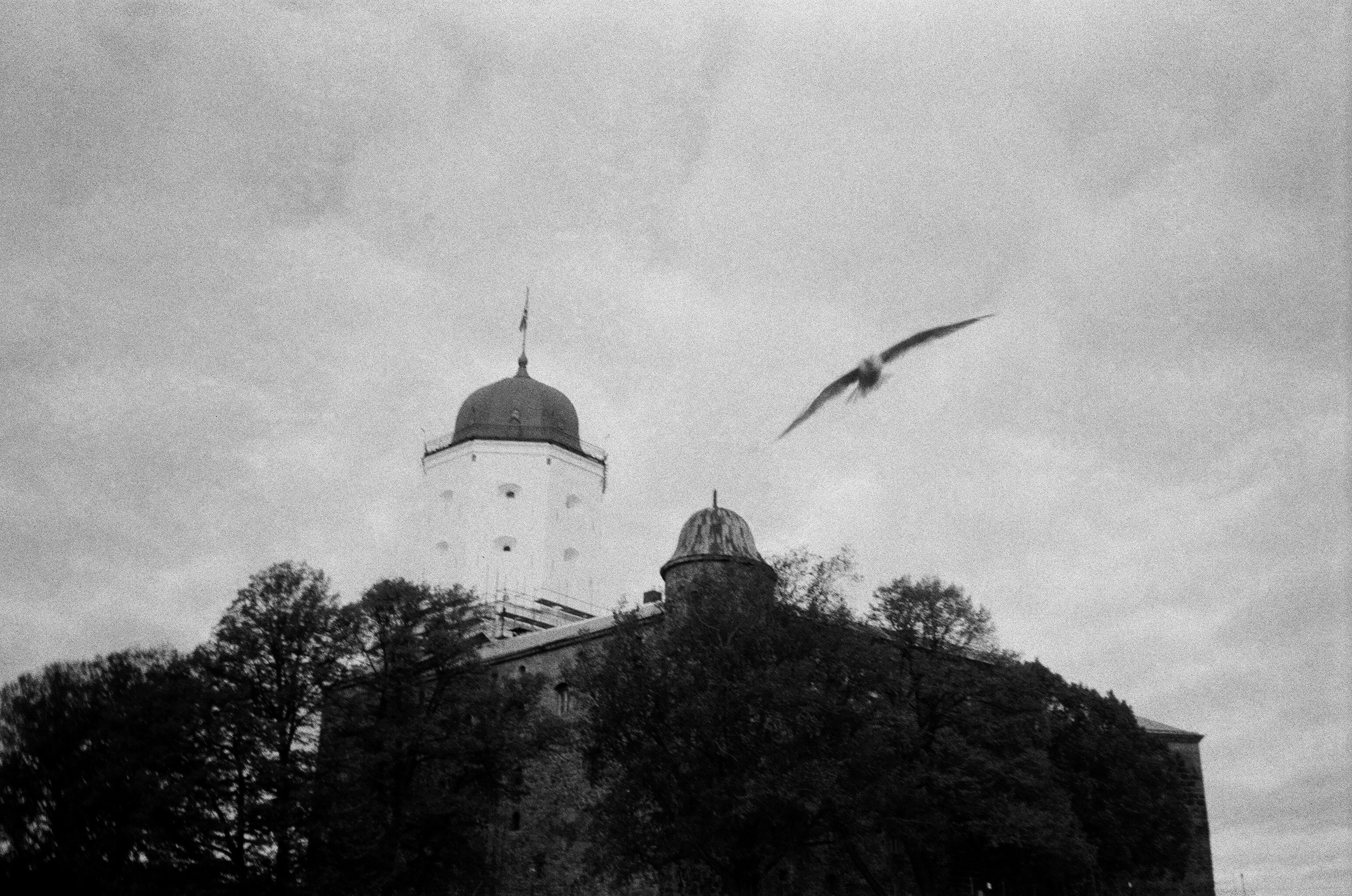 Вояж. Фотограф — Маслеников Константин