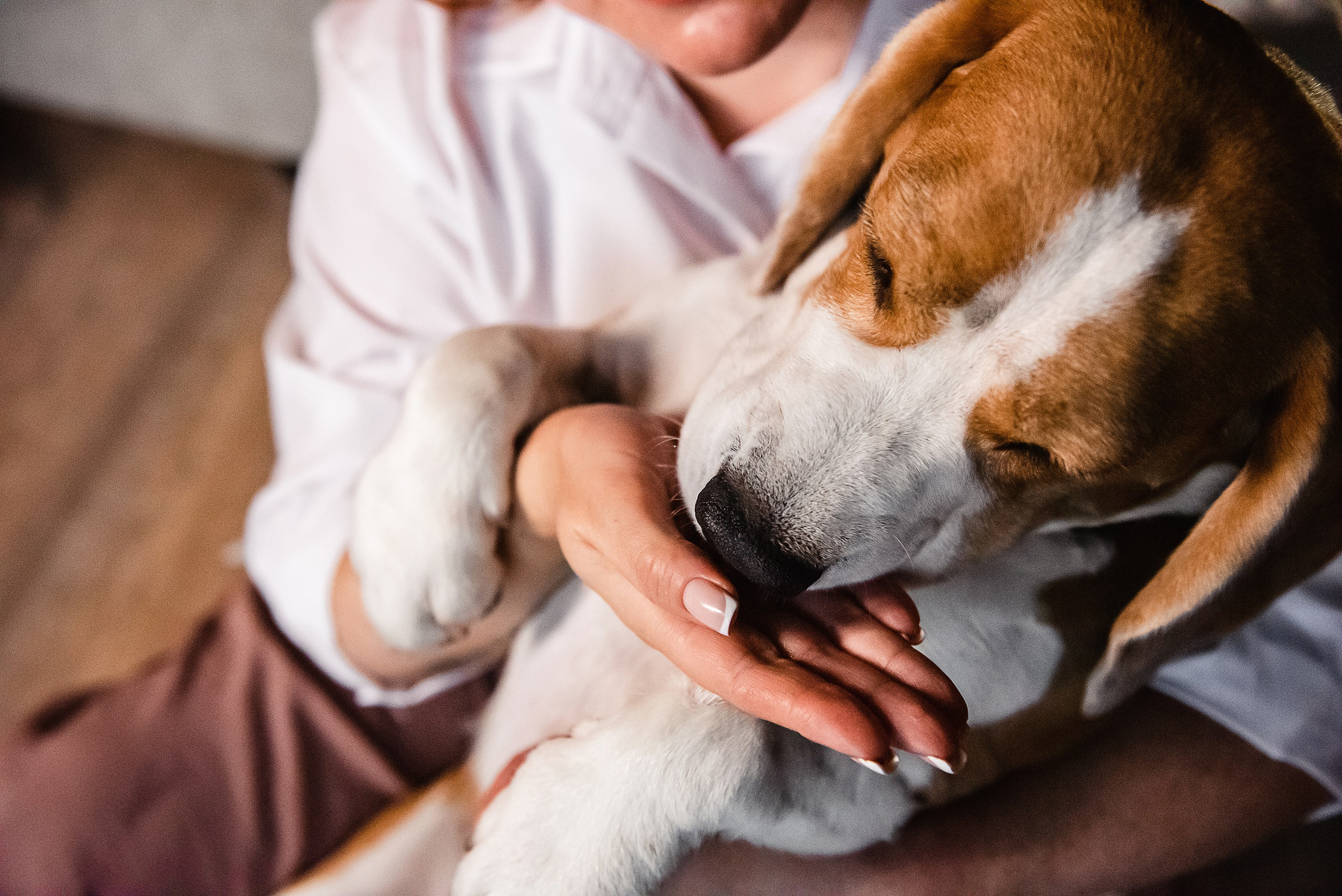 День рождение Дарси. Семейный Фотограф в Москве Ирина Хохлова