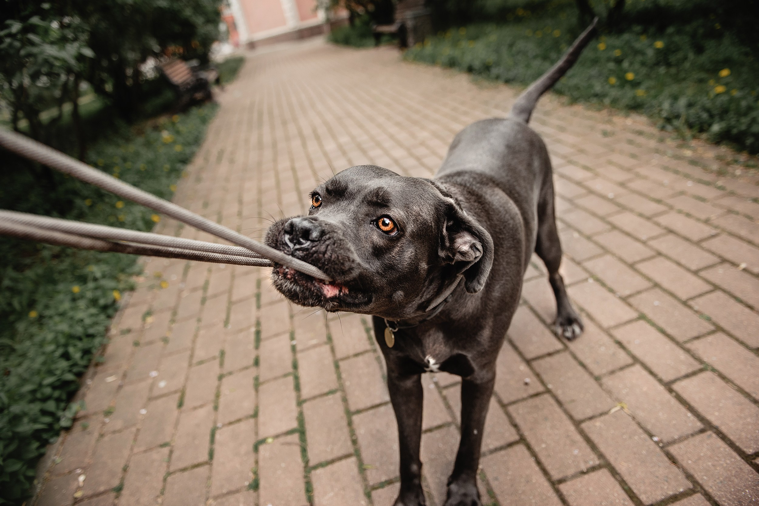 Кристина и Тея. Семейный Фотограф в Москве Ирина Хохлова