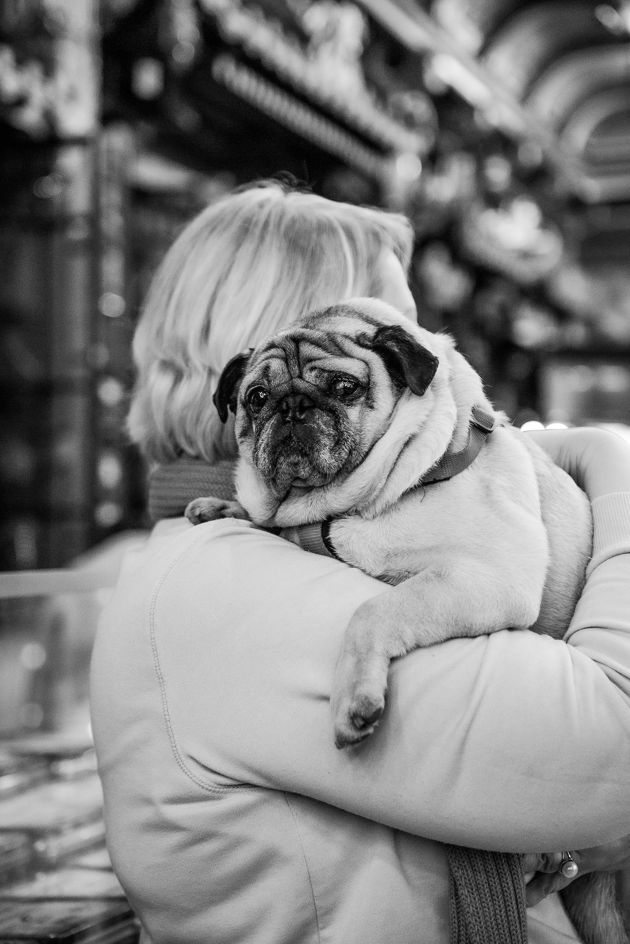 Ольга и Потапум. Прогулка к чайному дому. Семейный Фотограф в Москве Ирина Хохлова