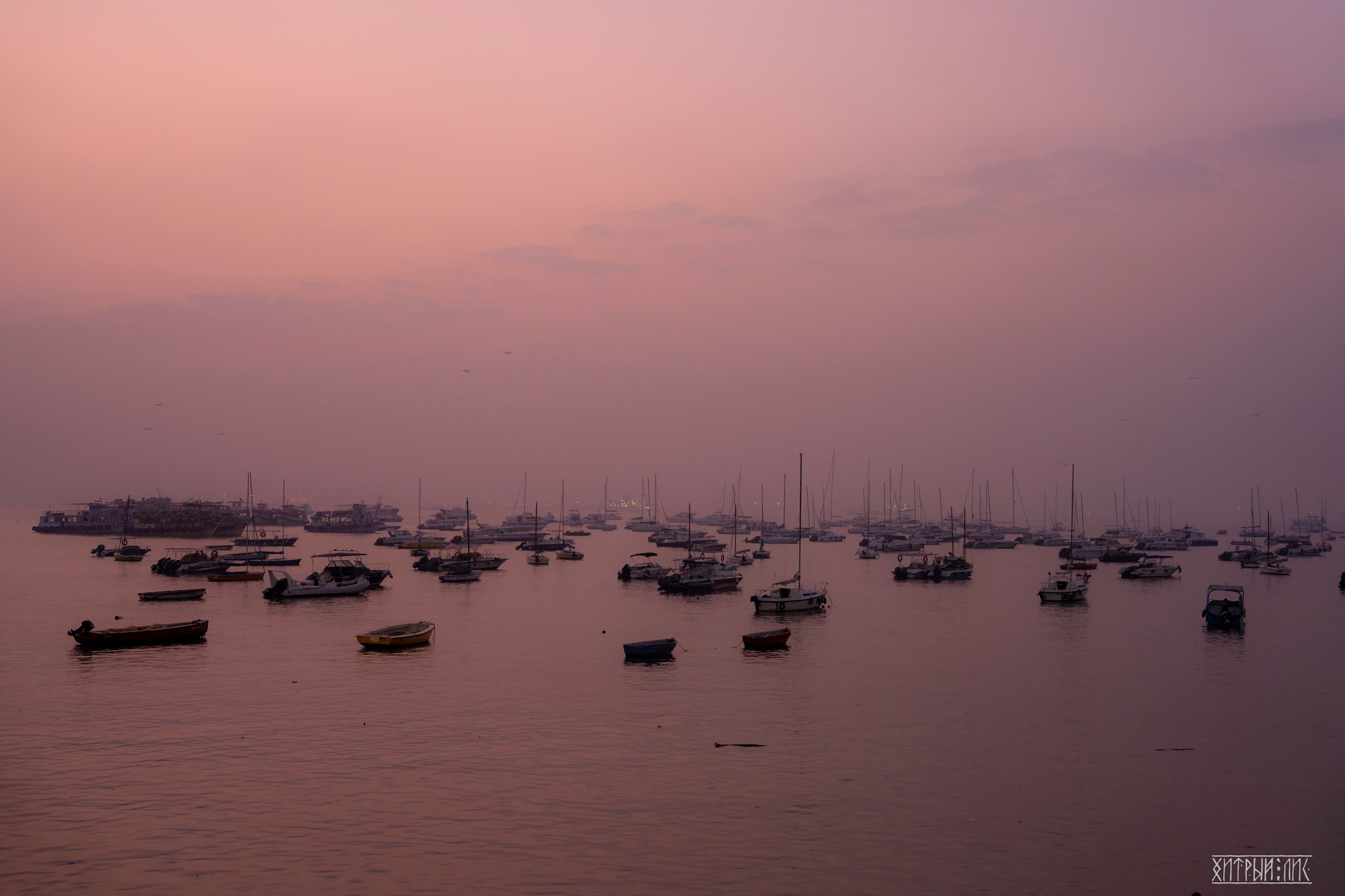 Гоа-Мумбаи. Фотограф-путешественник Самойлов Максим «Sly Fox»