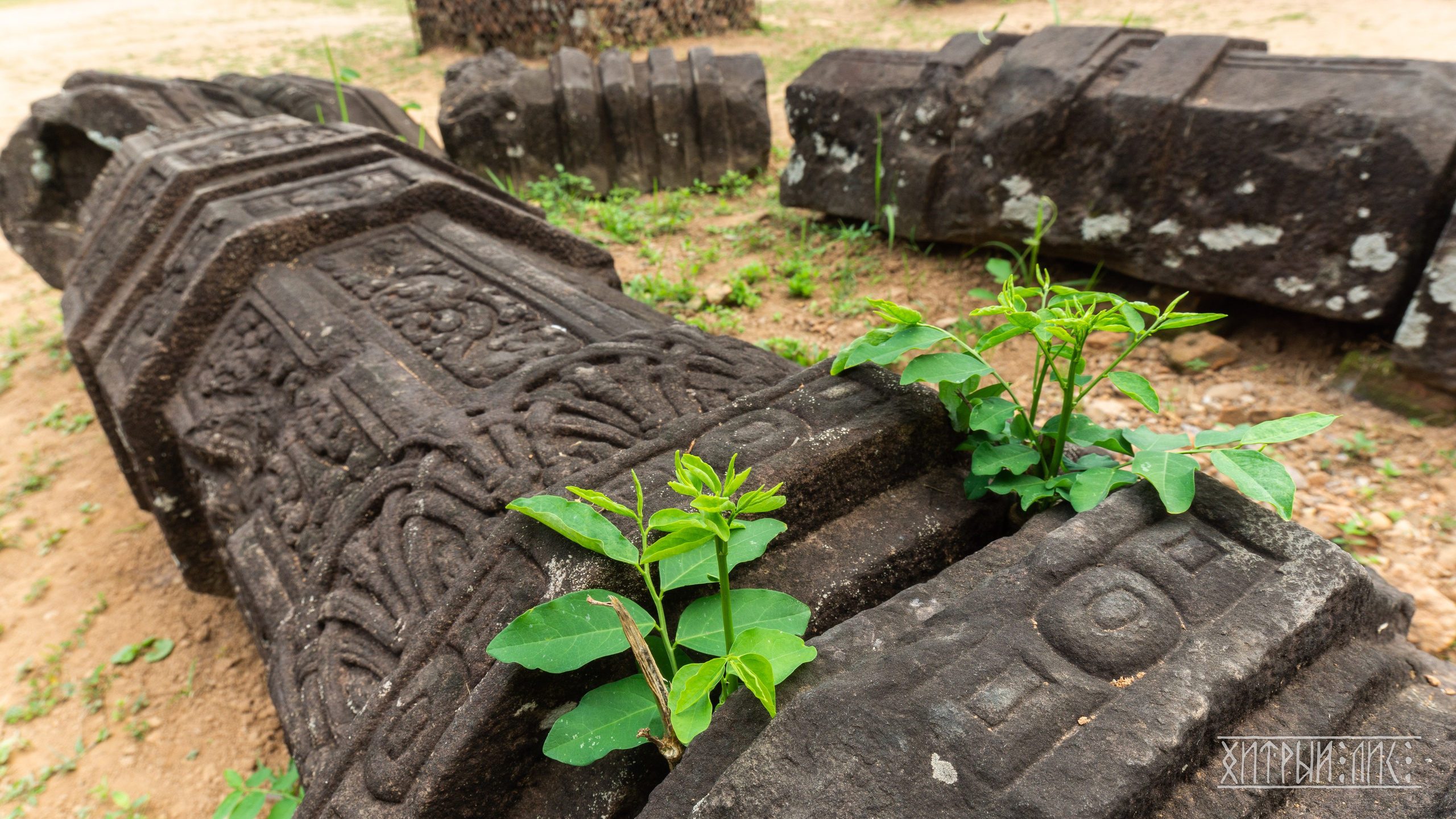 Вьетнам. Фотограф-путешественник Самойлов Максим «Sly Fox»