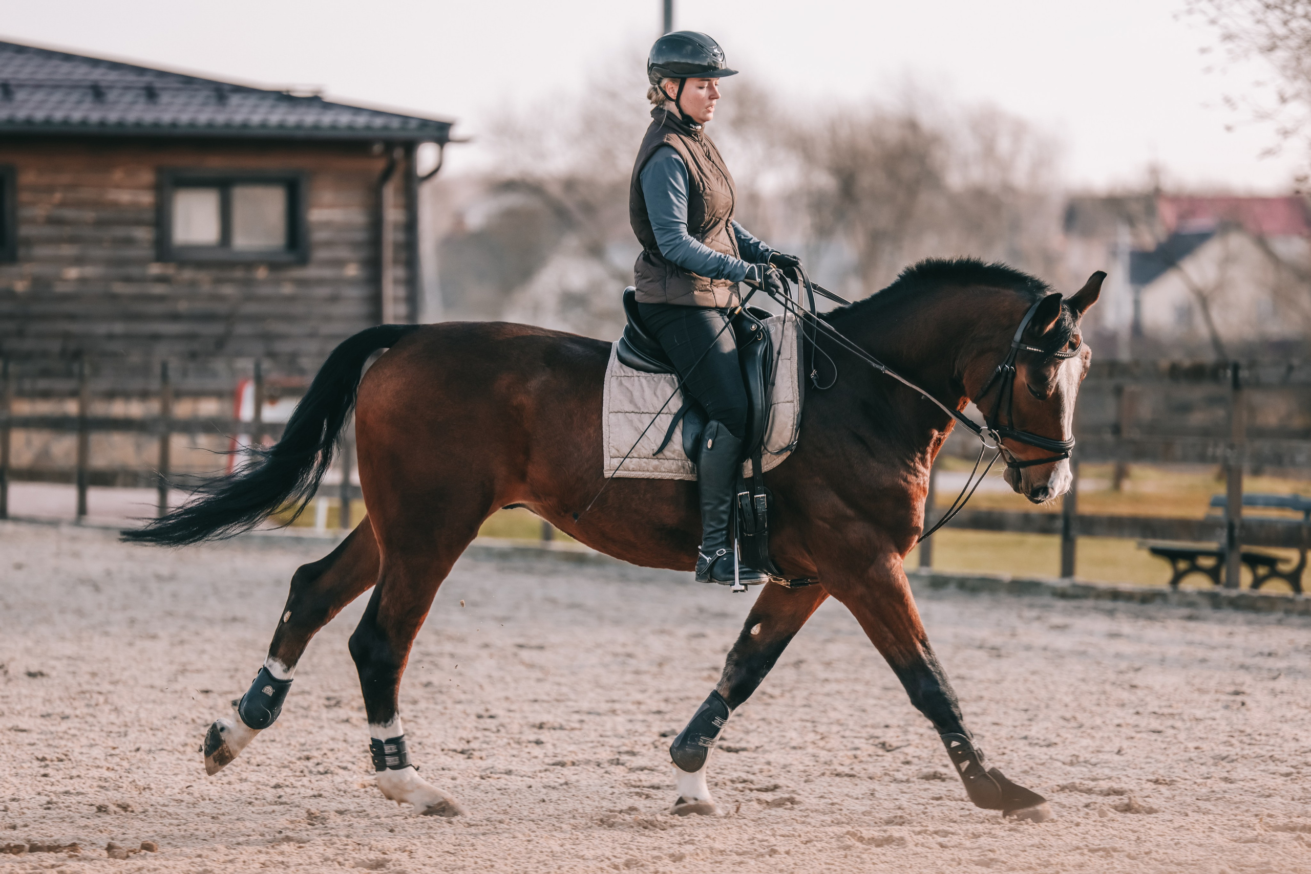 КСК Ждановское фотосессия. Фотосессии с лошадьми
