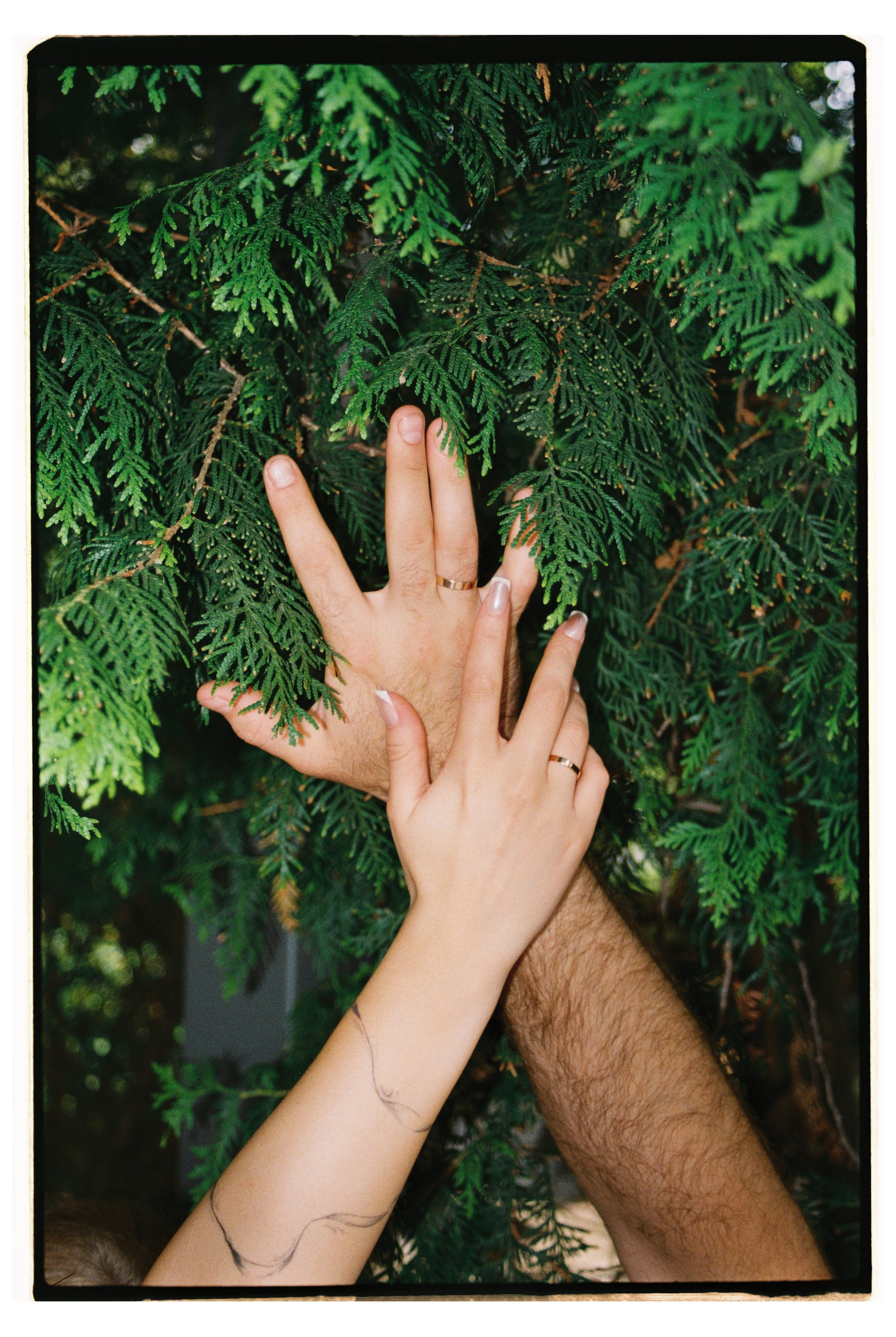 Константин и Валерия. Фотограф Вероника Балабанова, Москва