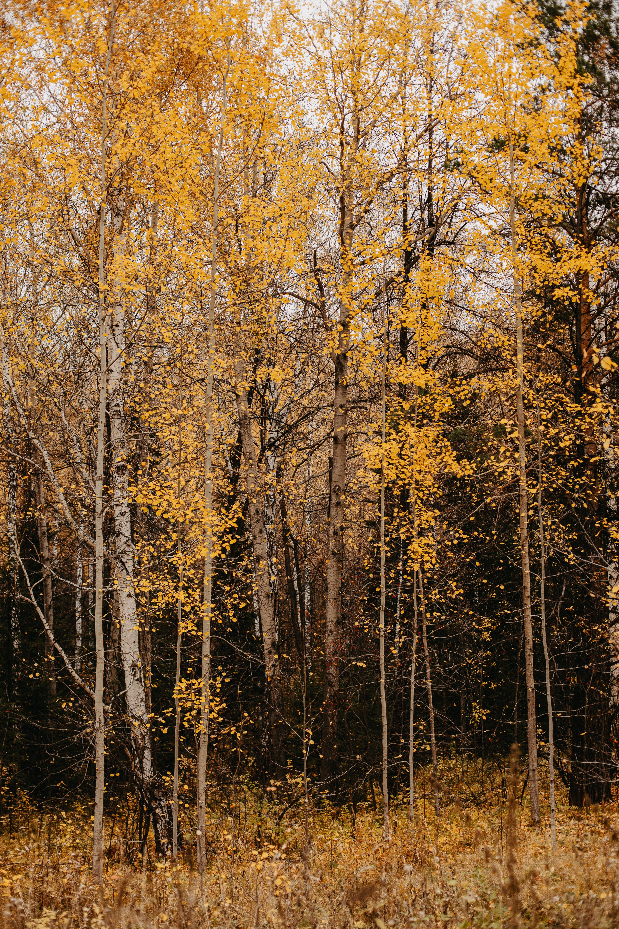 Семь Братьев. Семейный фотограф Трусова Евгения в Екатеринбурге