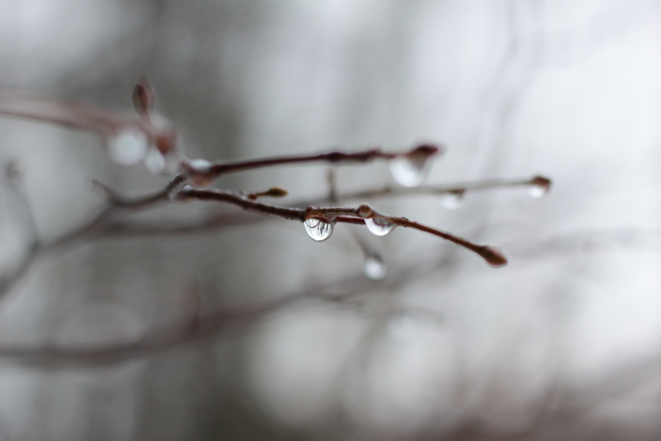 Старое природное, отбирала Katamount (Катерина Горохова). Главная
