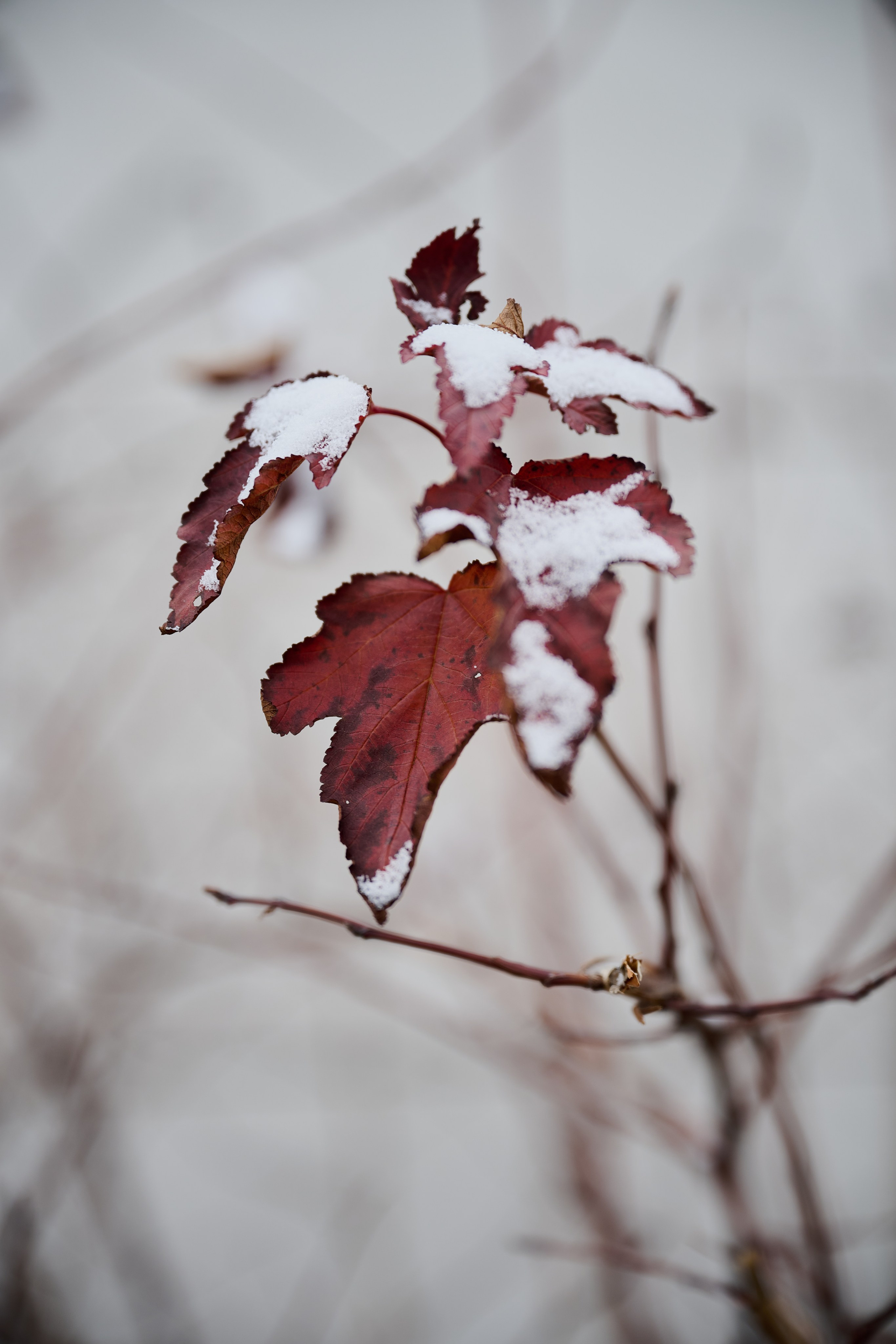 Северодонецк. Луганская область. Фотопроект «Территории»