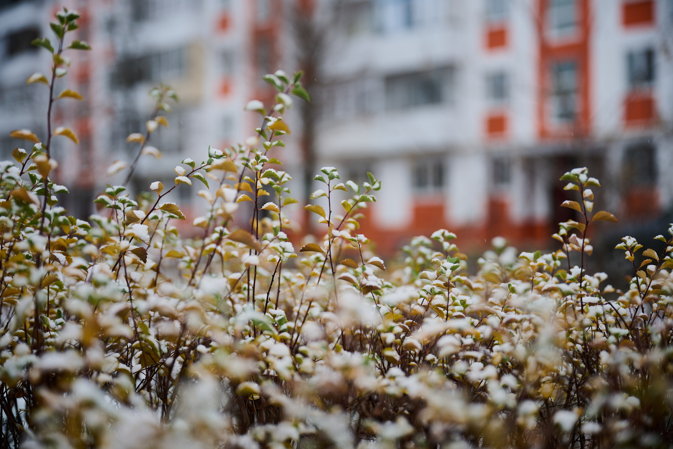 Фото для презентации фотопроекта «Территории». Фотопроект «Территории»