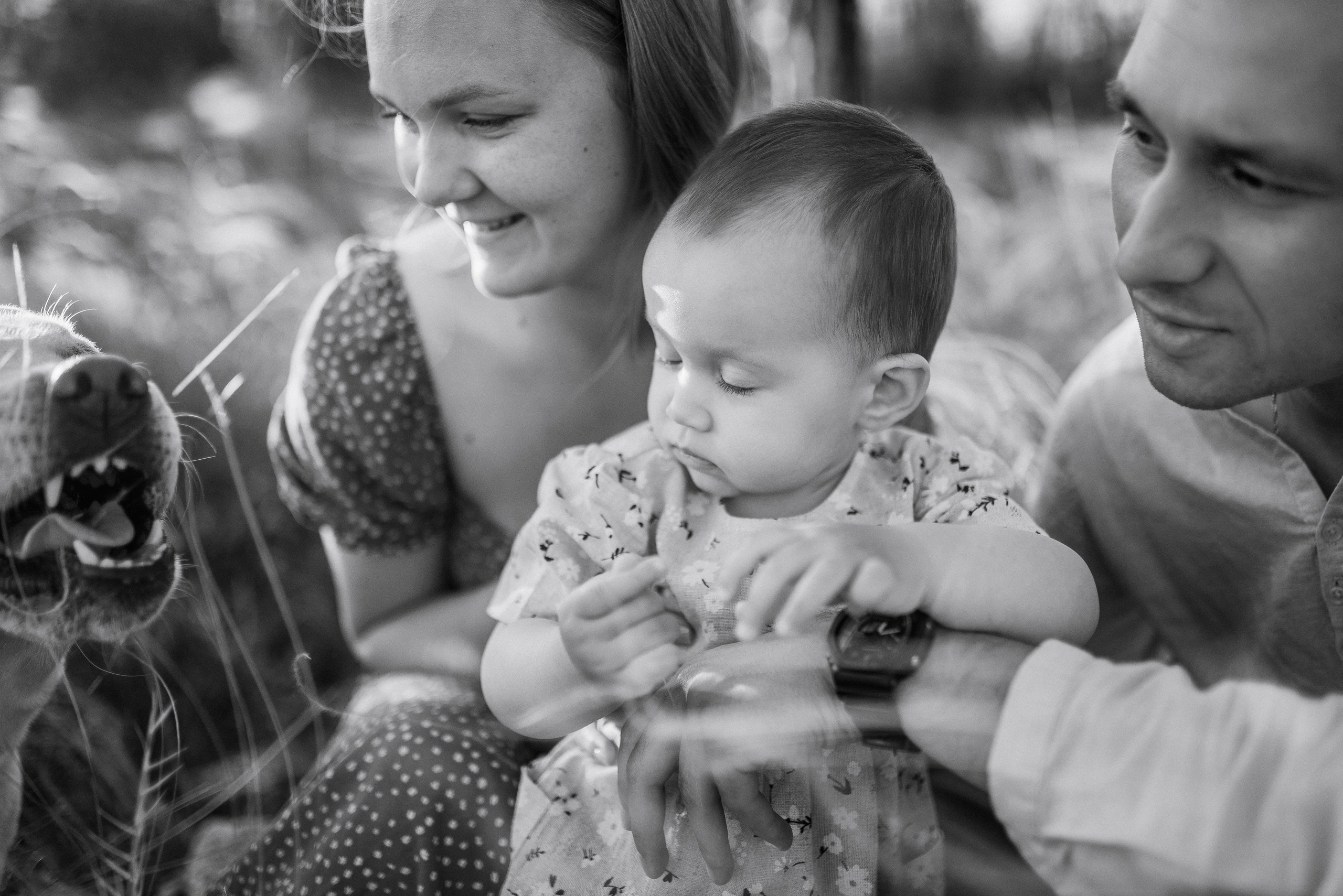 Трое в поле, не считая собаки. Семейный документальный фотограф в Волгограде Мариэта Додина