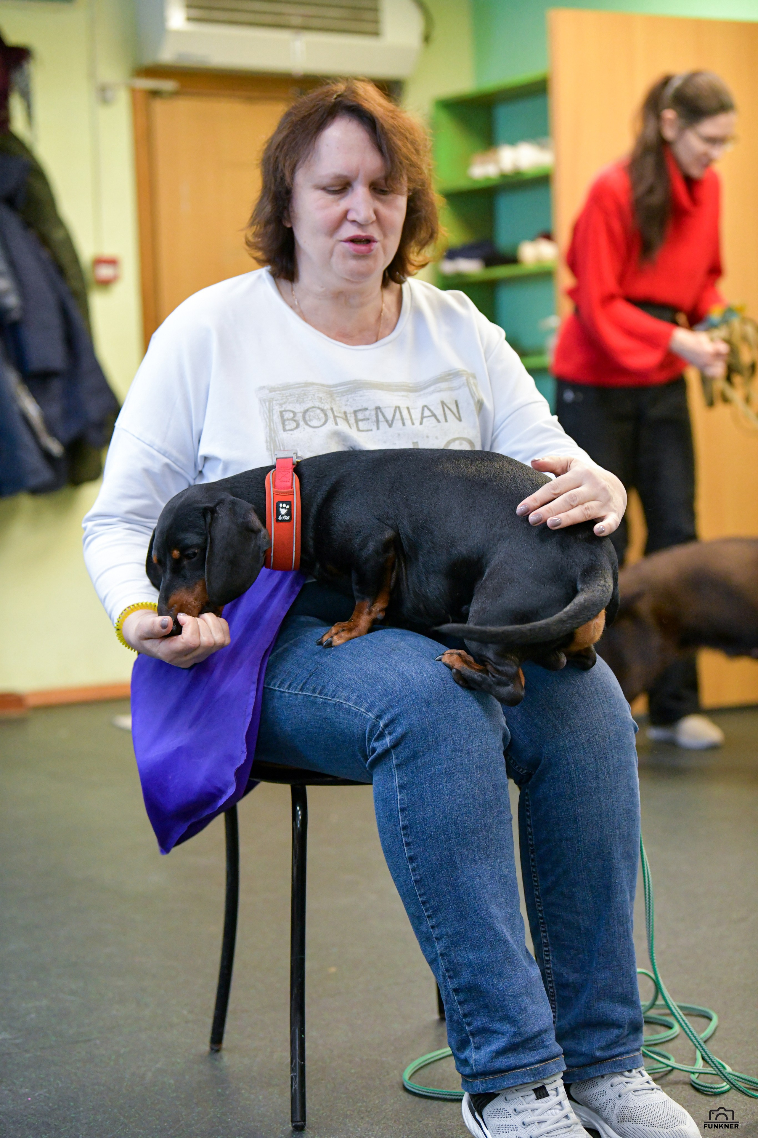 Кинологический клуб «Бодрый хвост». Свой взгляд через объектив