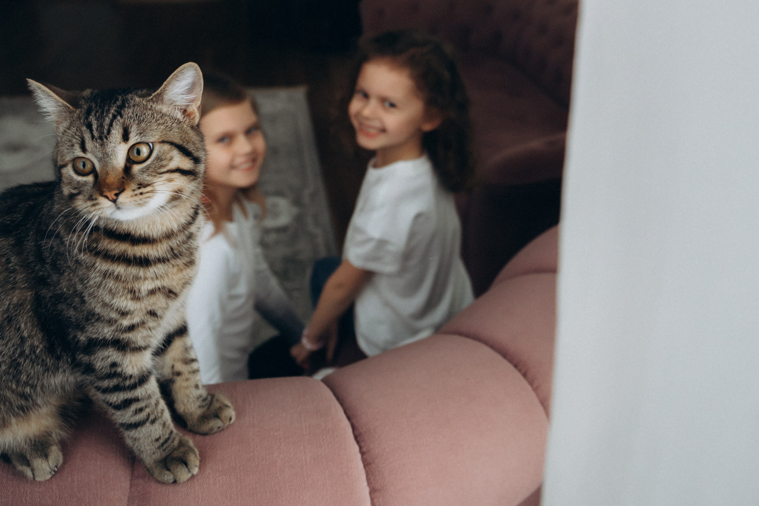 День рождения. Сердюченко Юлия, семейный фотограф, Белгород