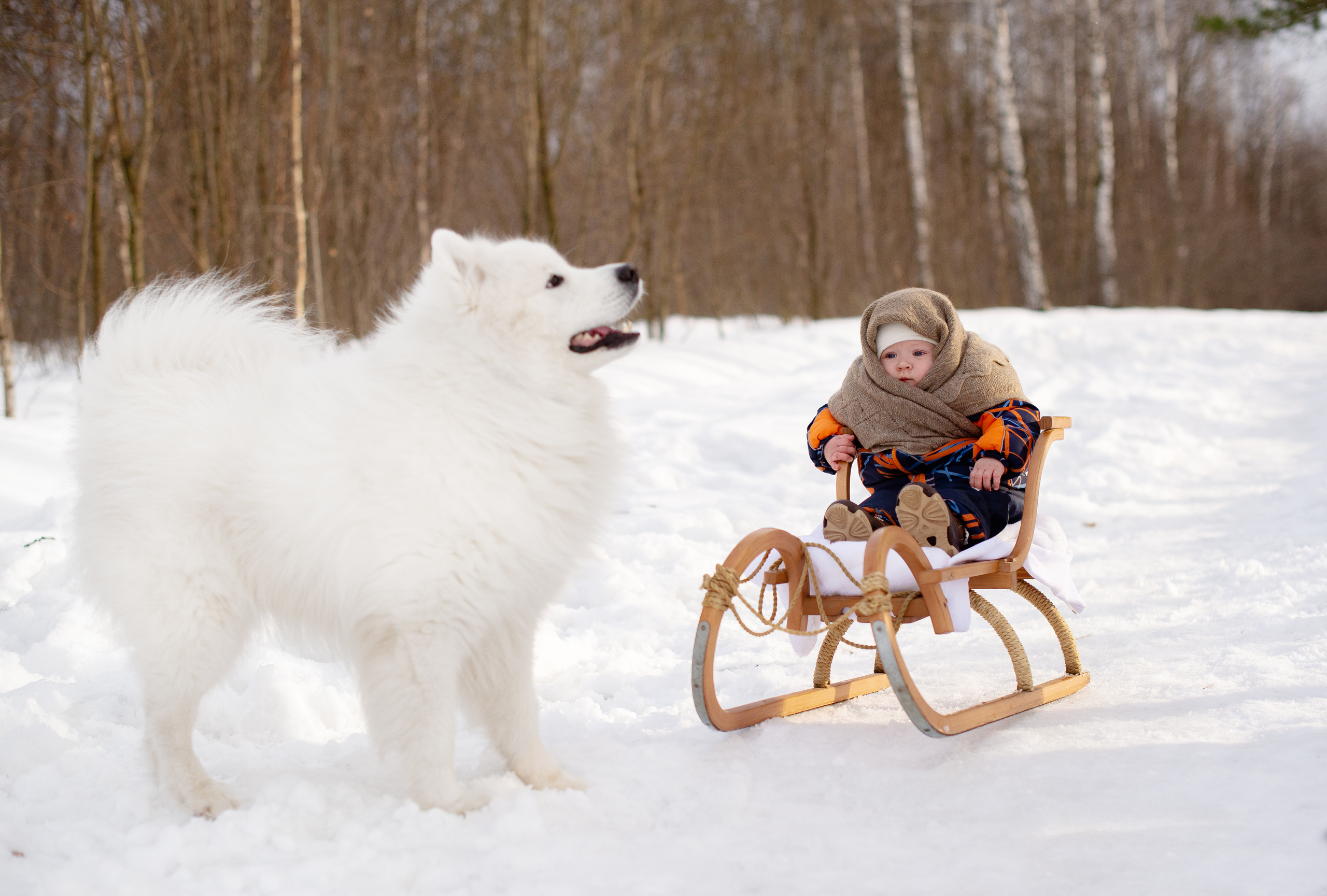Детская фотосессия. Сайт фотографа Анны Беляевой