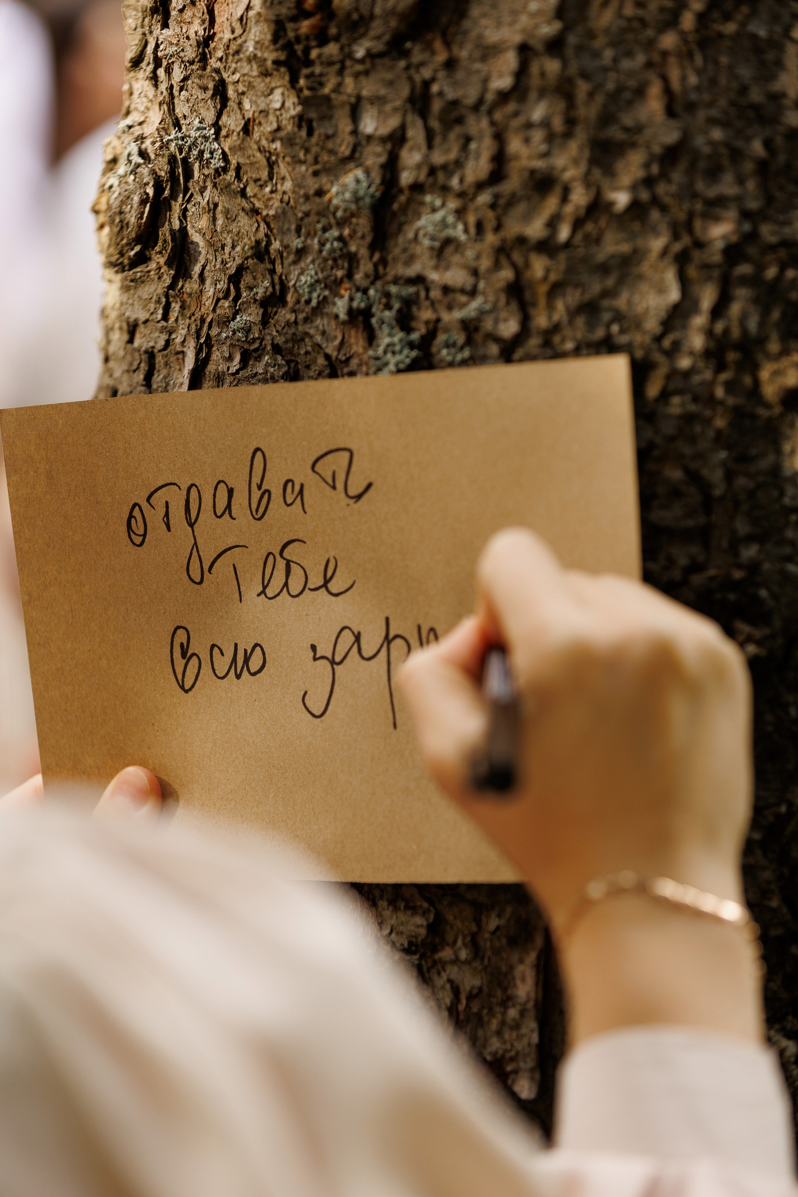 Сергей и Анастасия. Свадебный и портретный фотограф в Сыктывкаре Слава Изъюров