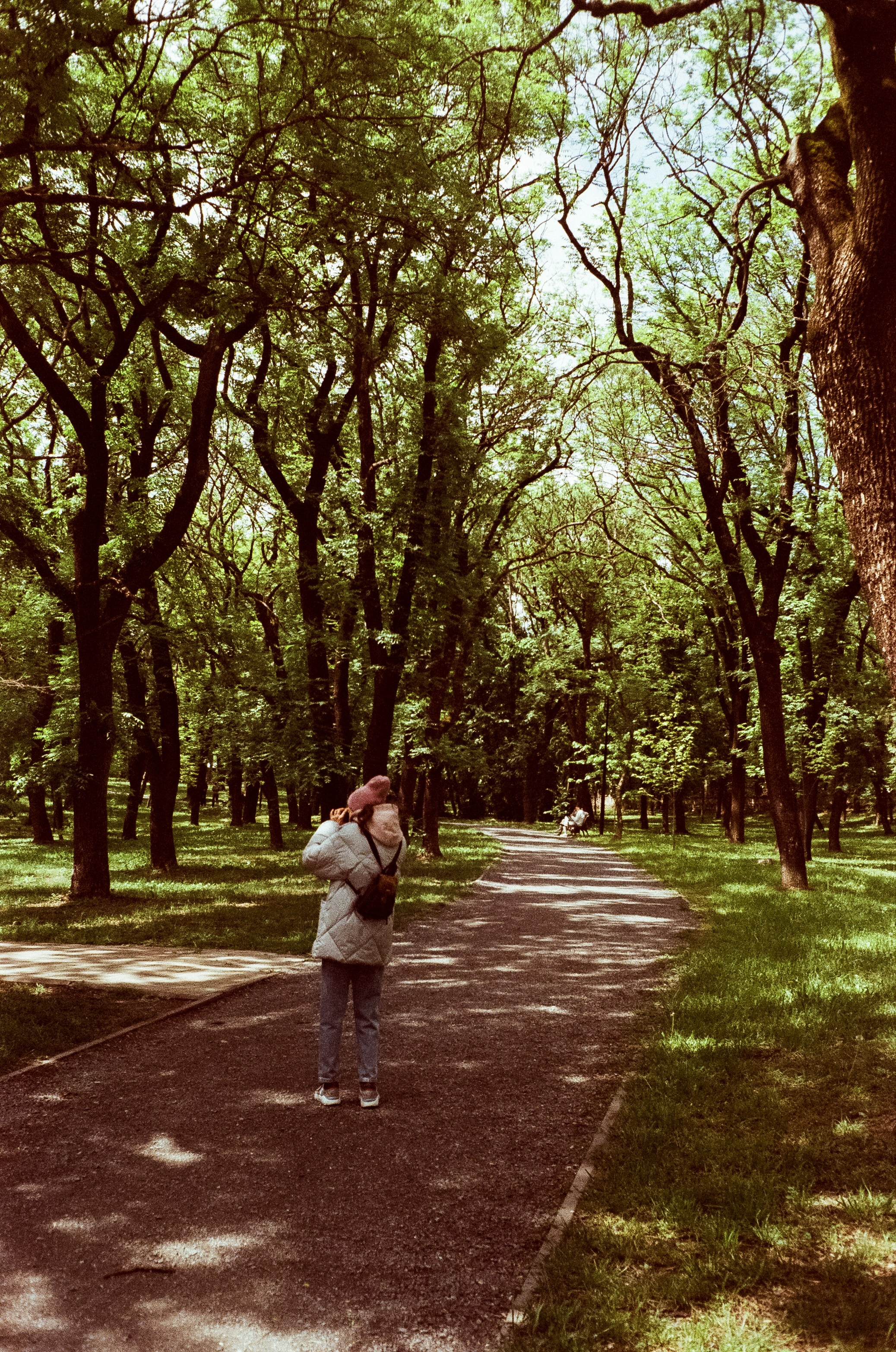 Ессентуки прогулка по городу / Minox 35GT / Agfa Vista 400 (просрочка)