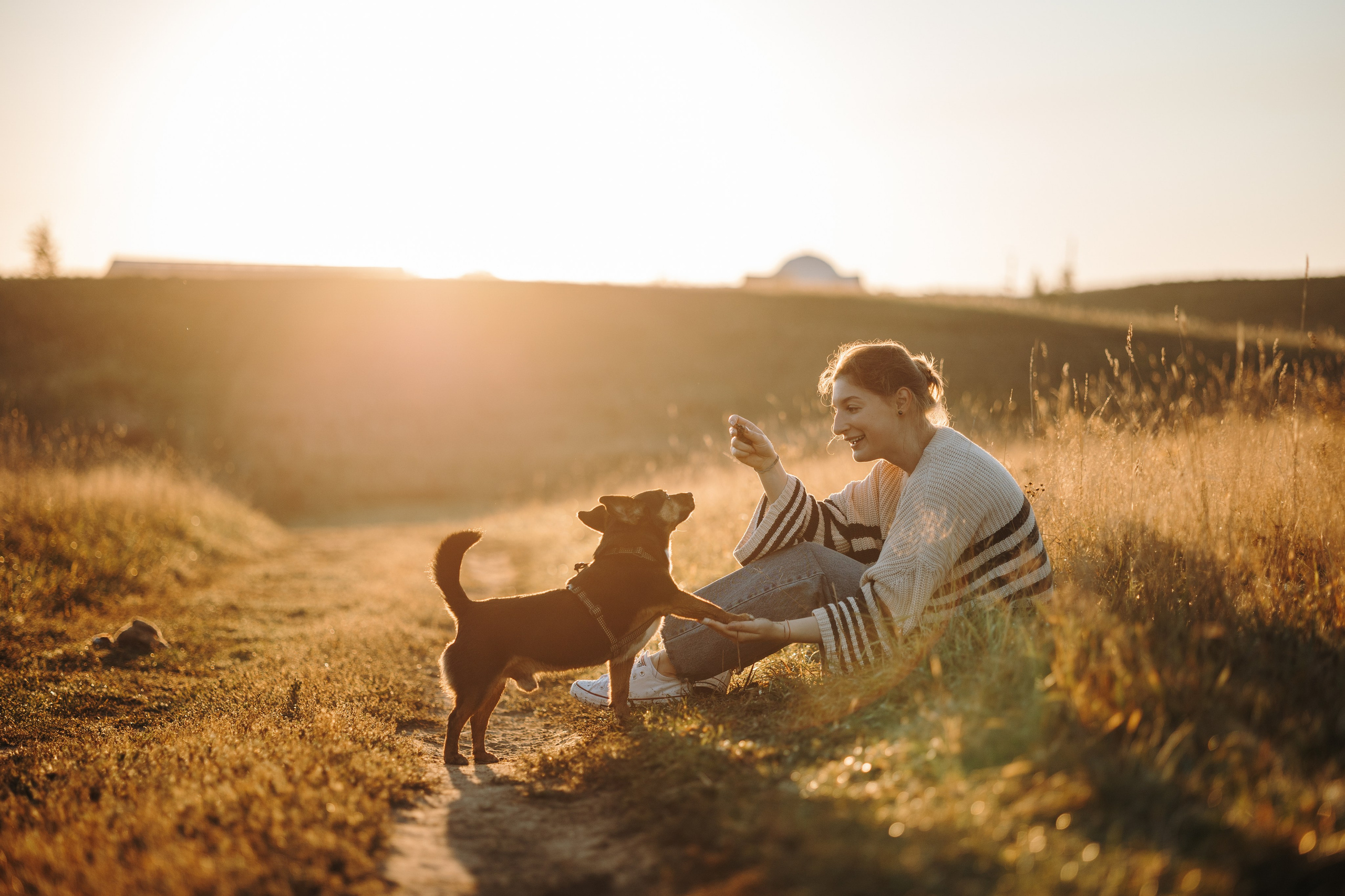 Ольга и Рекс. Фотограф — Анималист | Санкт-Петербург
