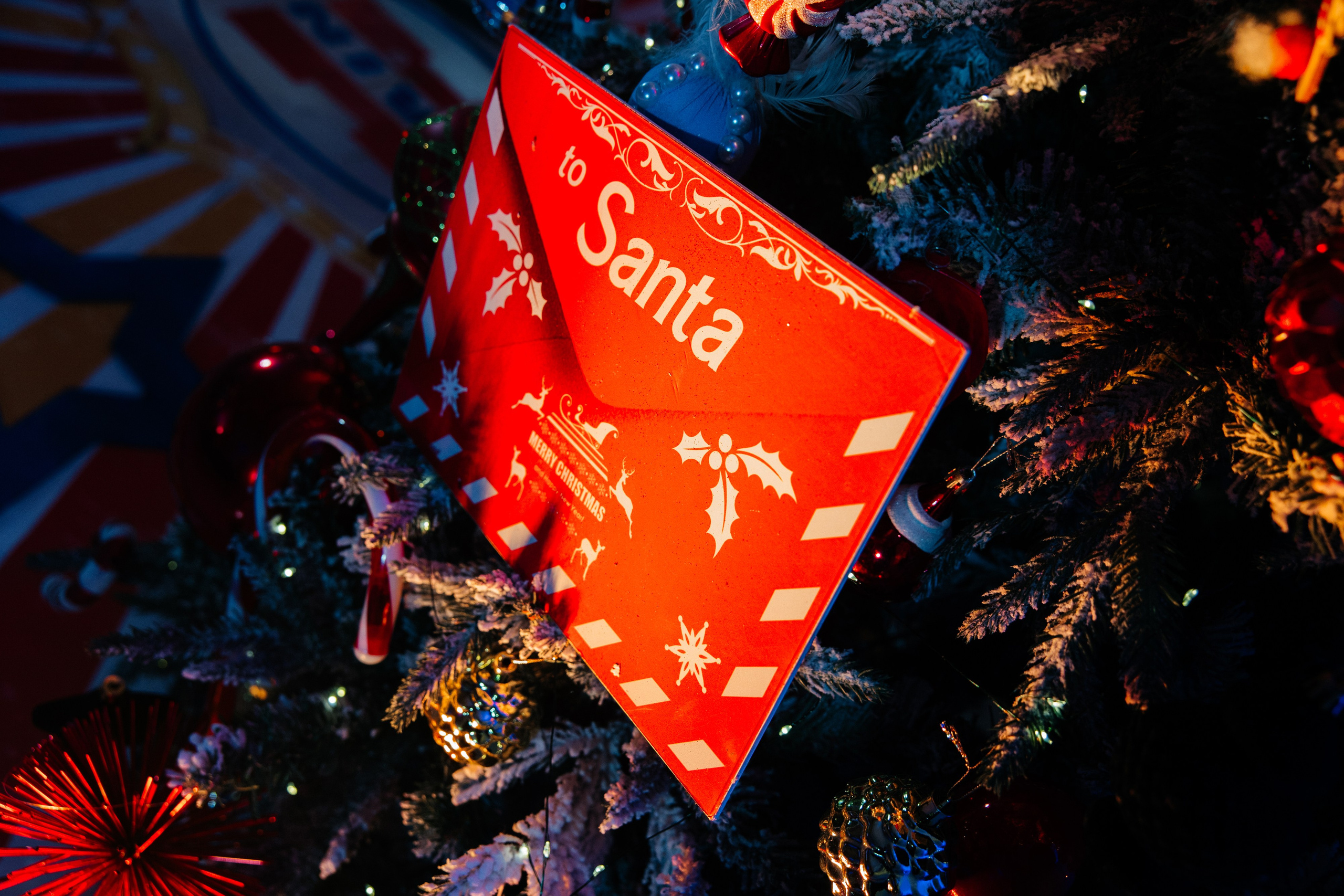 Корпоратив Цирк. Свадебный фотограф Минск РБ