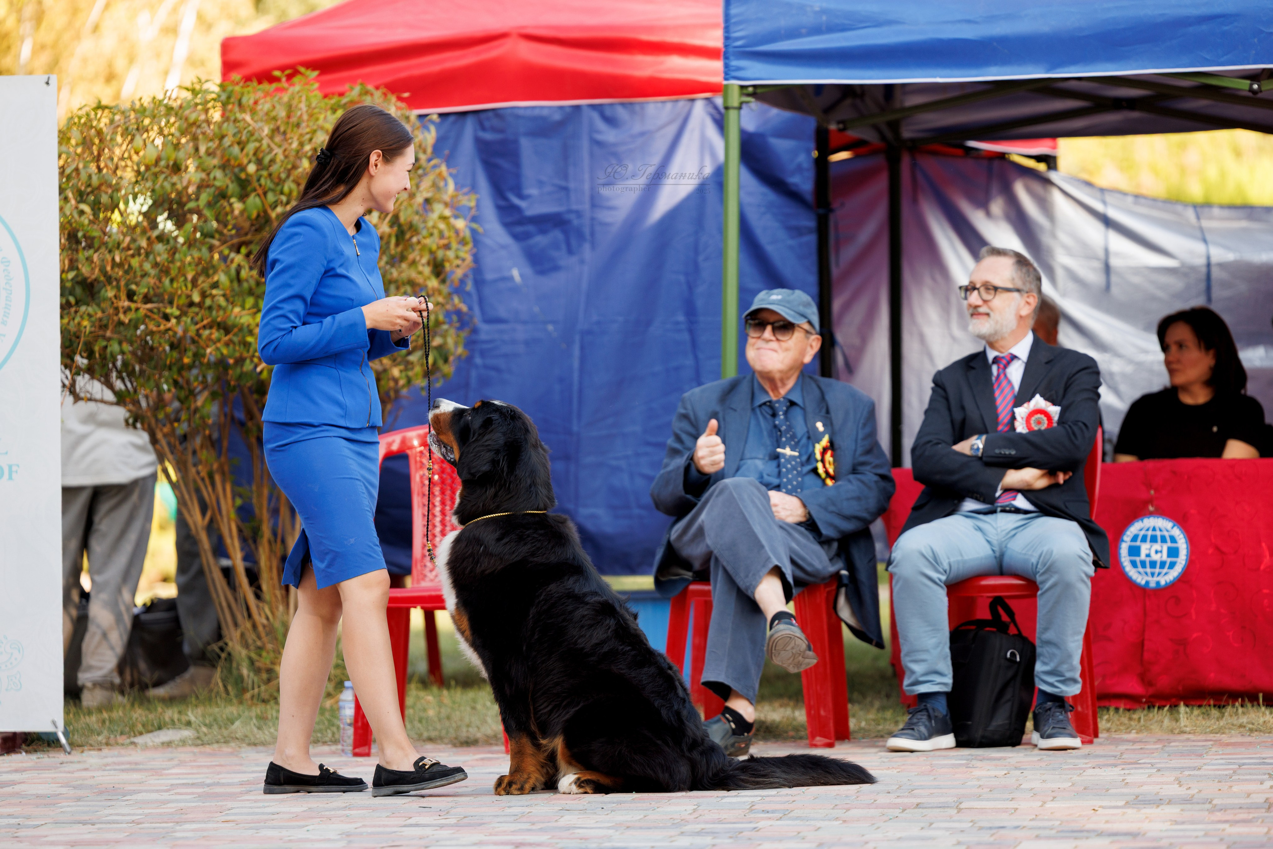 Ташкент 3хCACIB 3-5.10.2025. Фотограф-анималист Юлия Германика