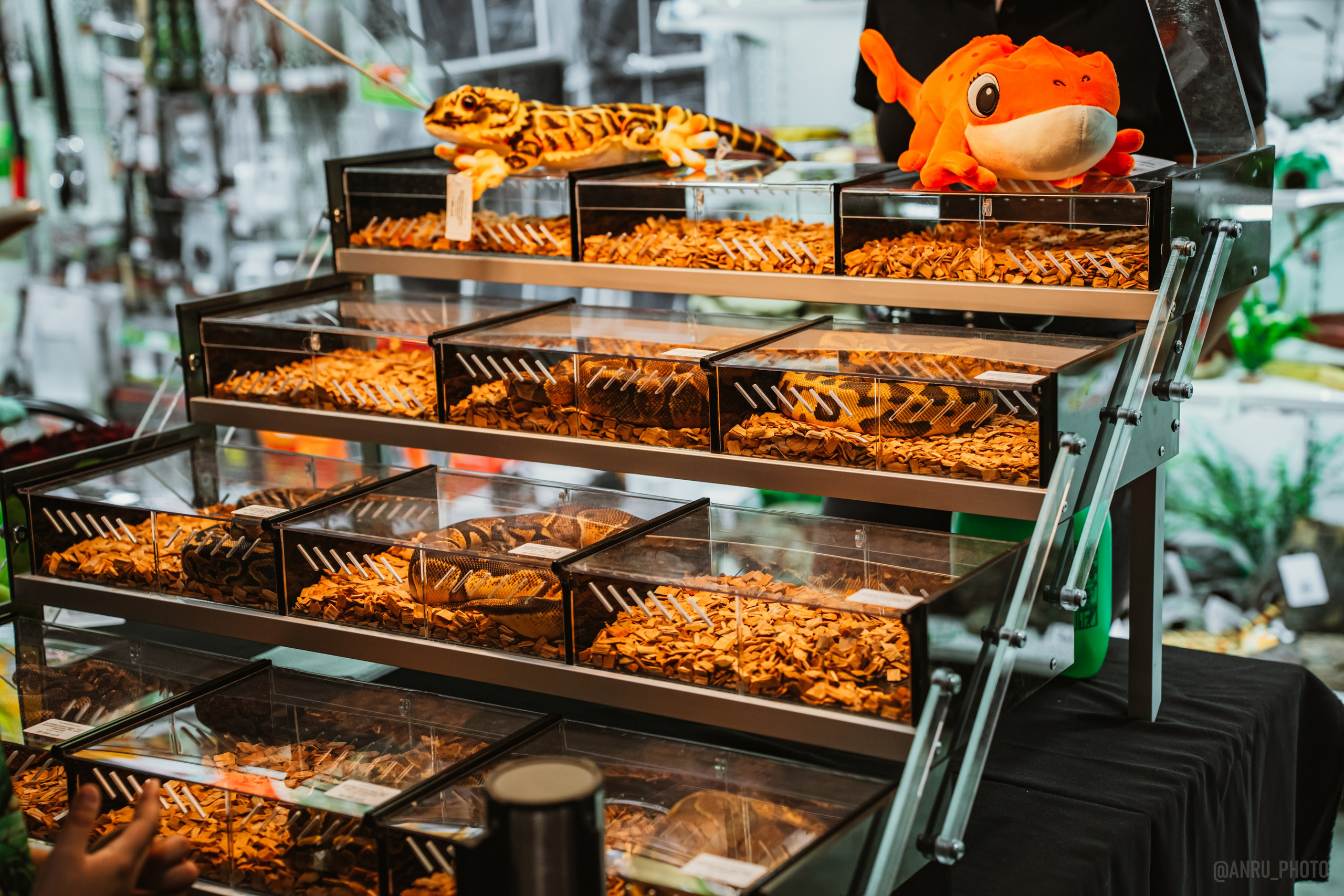 Рептилиум. Репортажный фотограф Анастасия Рубцова