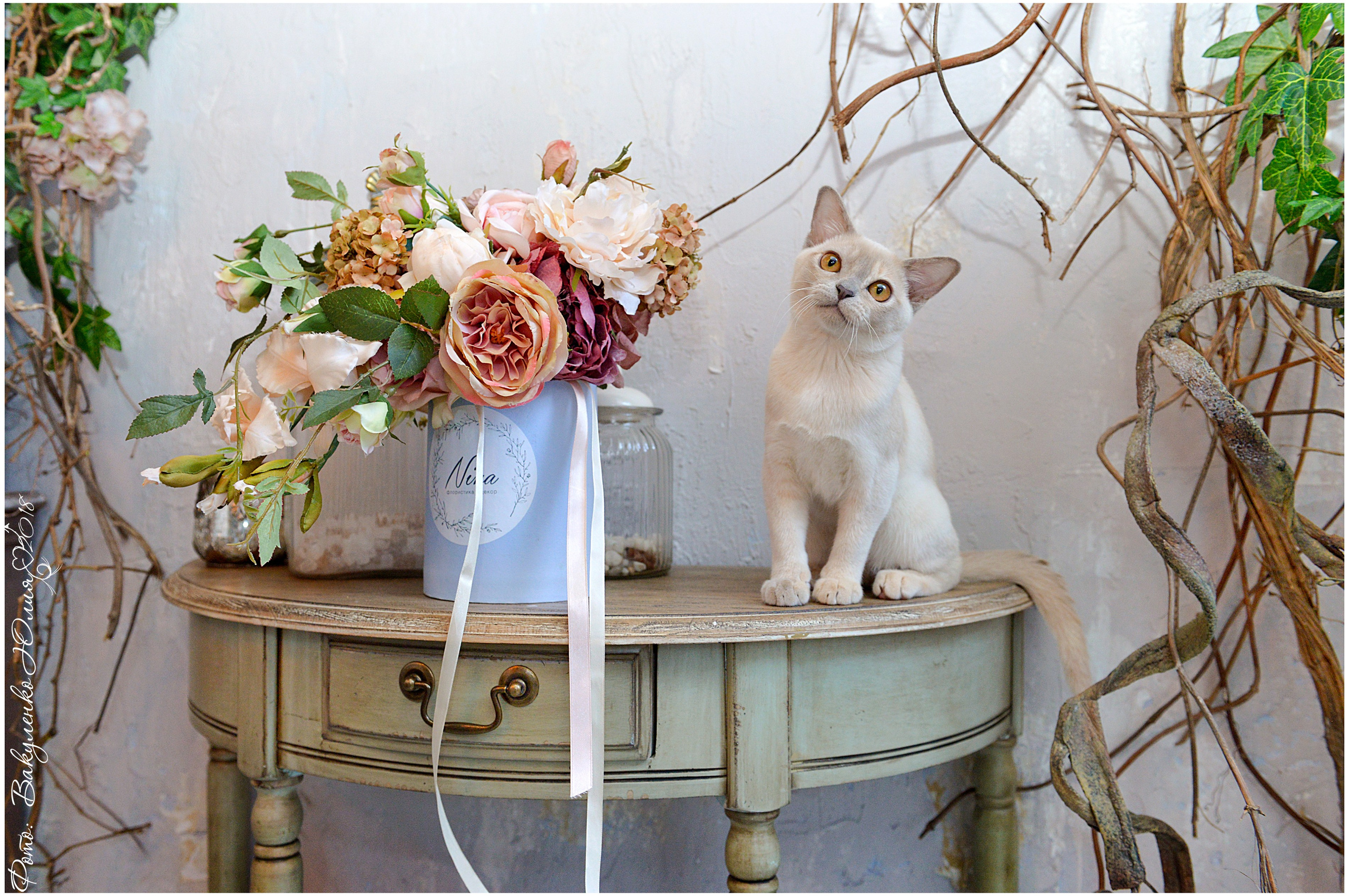 Взрослые. Фотограф анималист | семейный Юлия Вакуленко, г. Краснодар