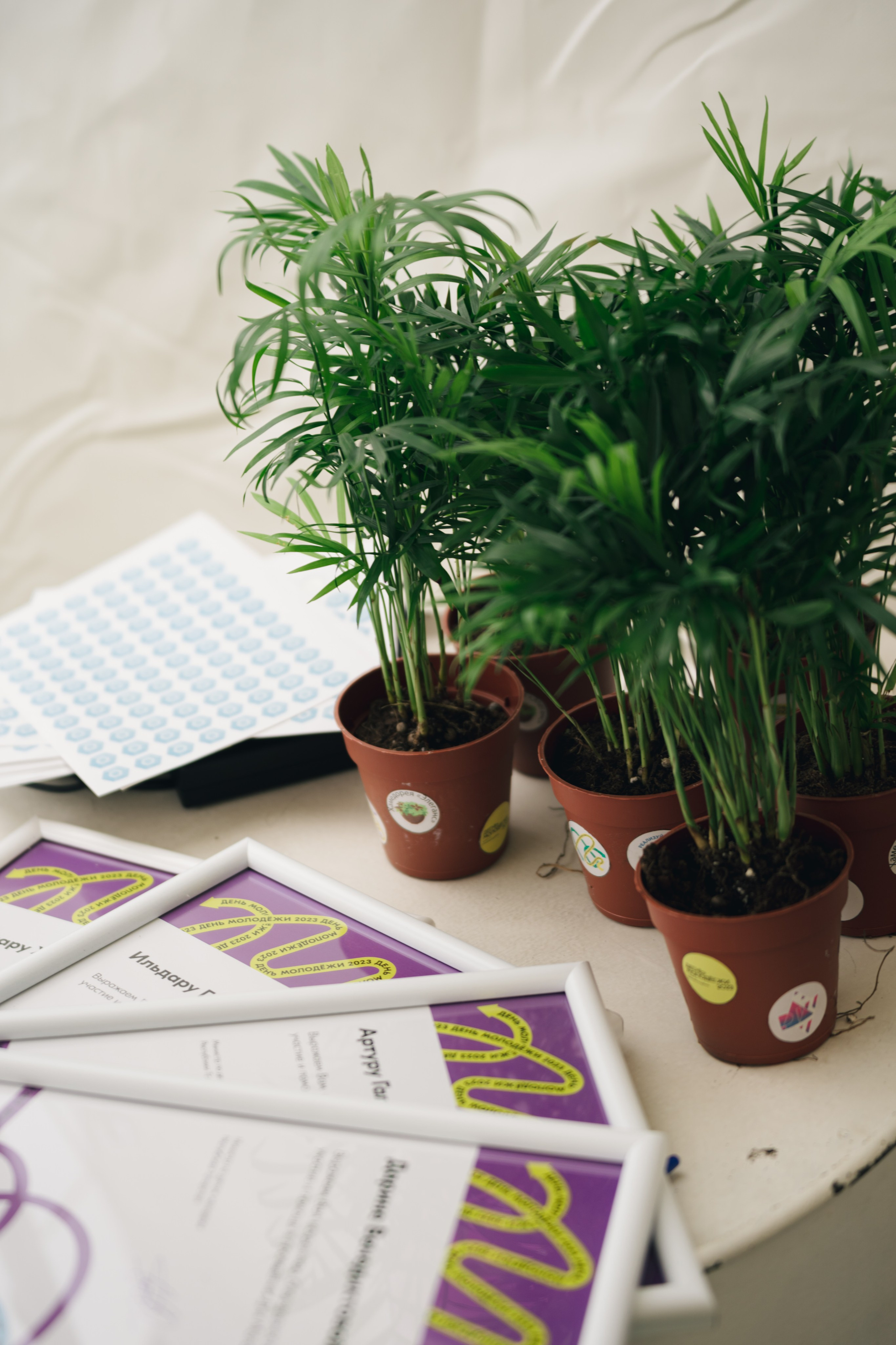 Развитие карьеры ДМ // 2023. Репортажный фотограф в Казани Виктория Трунова