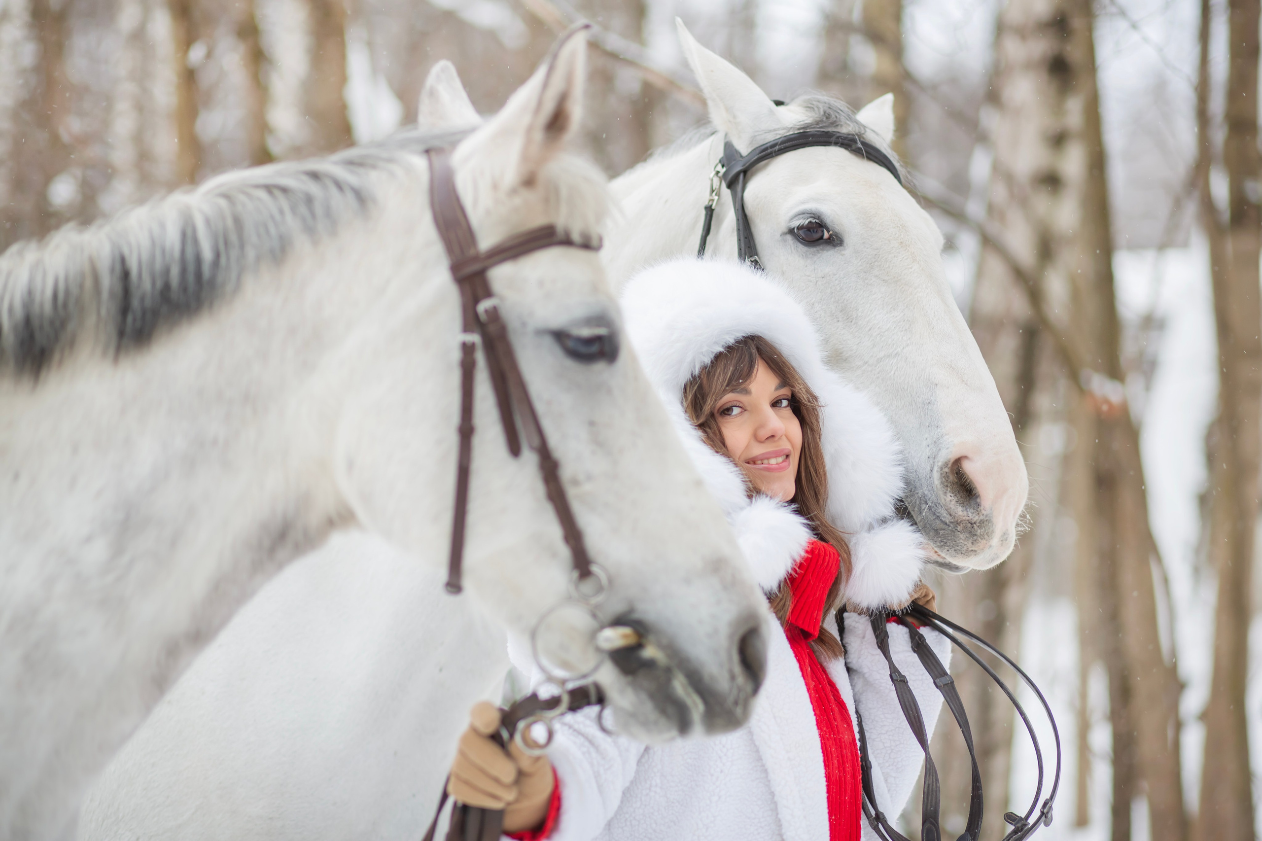 Год лошади. Семейный и детский фотограф в Москве и МО — Александра