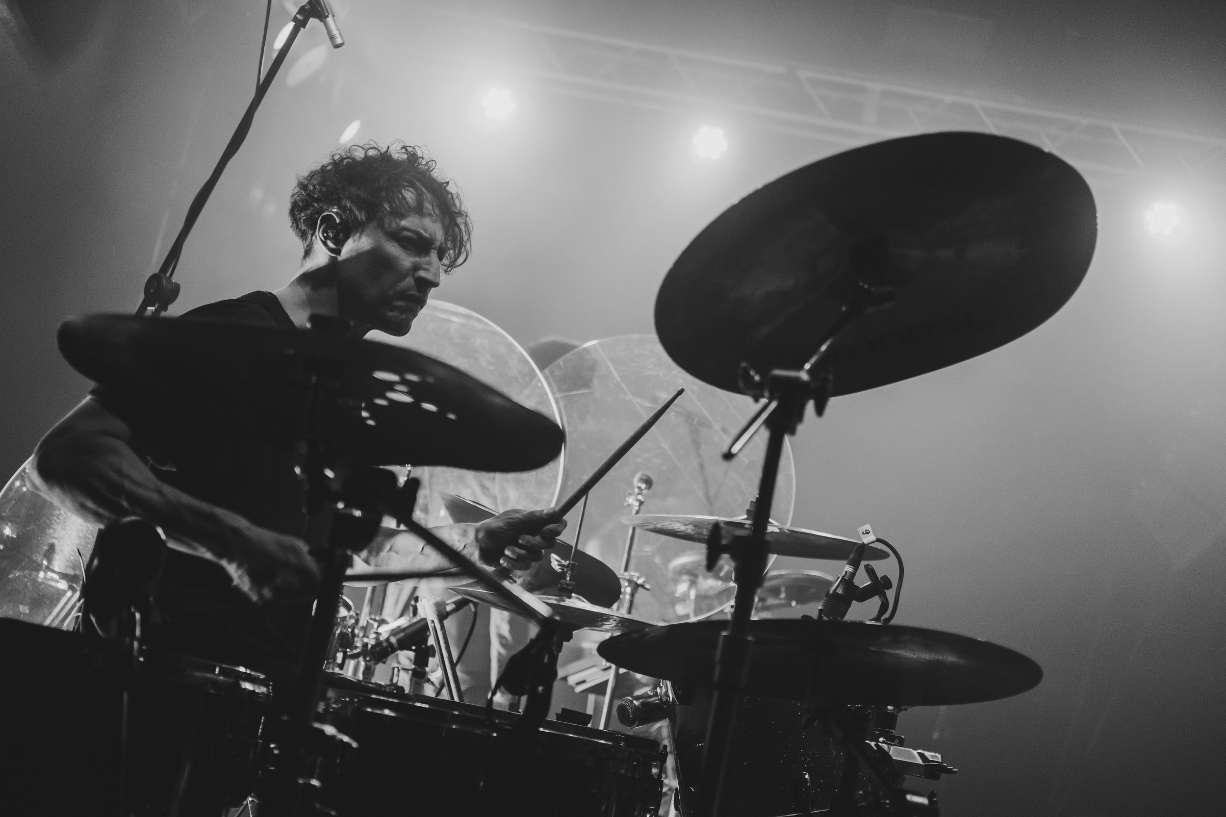 Дельфин. Репортажный фотограф Алексей Пирязев