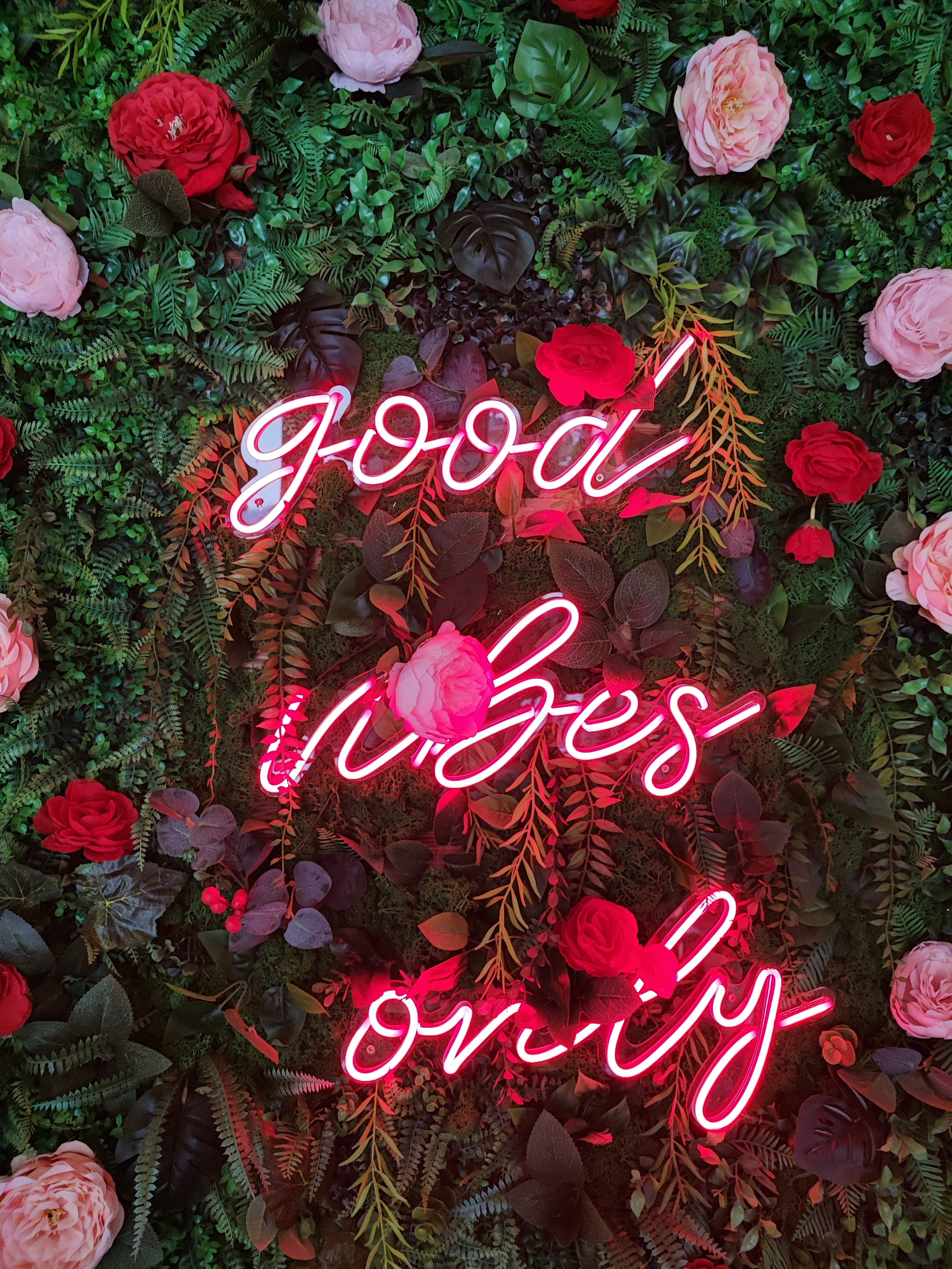 Намобилкус кавказский. Репортажный фотограф Алексей Пирязев