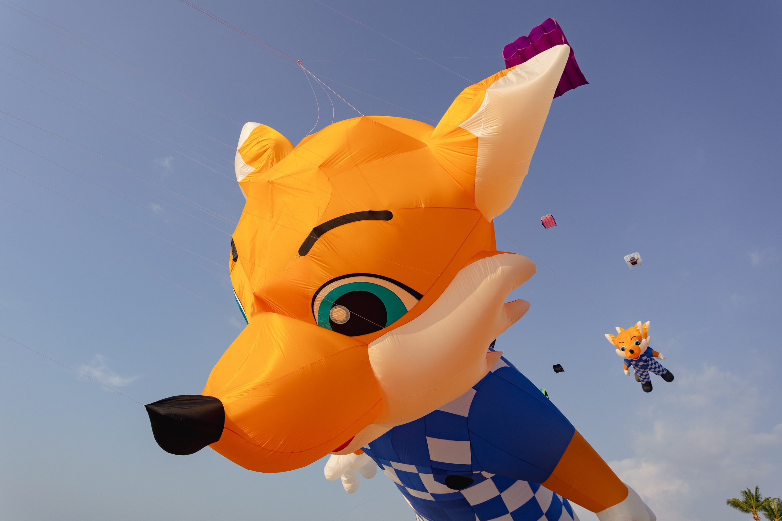 PATTAYA INTERNATIONAL KITE ON THE BEACH 2024. Photographer Sonkina Tatiana (Tanya Ash)