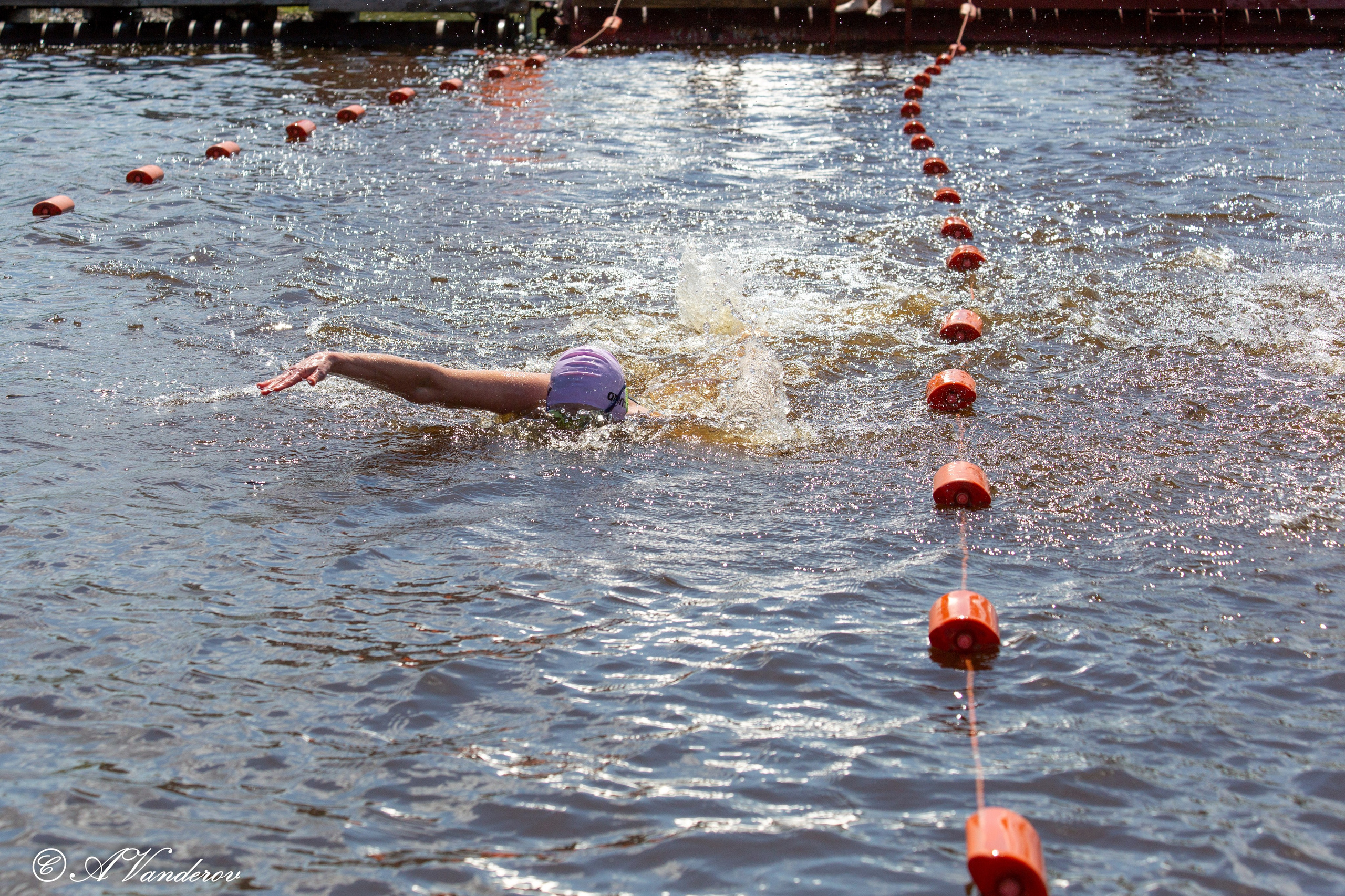 Заплыв 02.06.2024. Фотограф Омск | Александр Вандеров