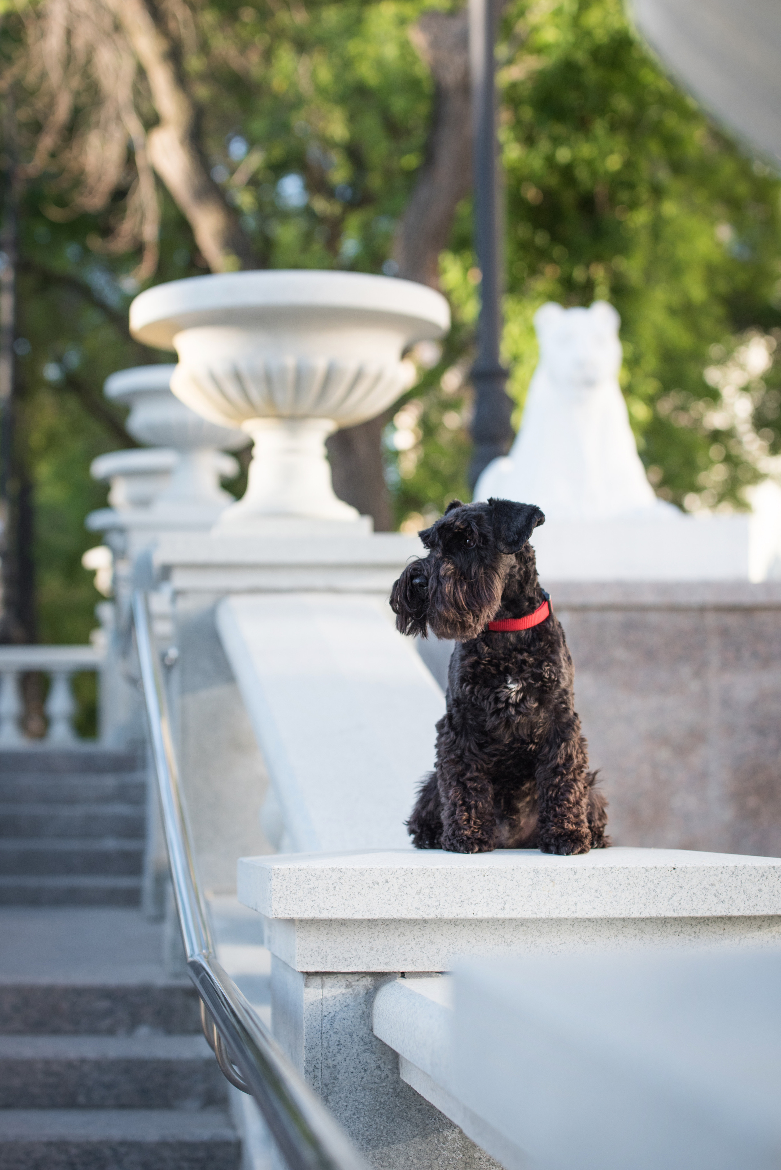 Портфолио. Фотограф-анималист в Екатеринбурге Марина Шишкина
