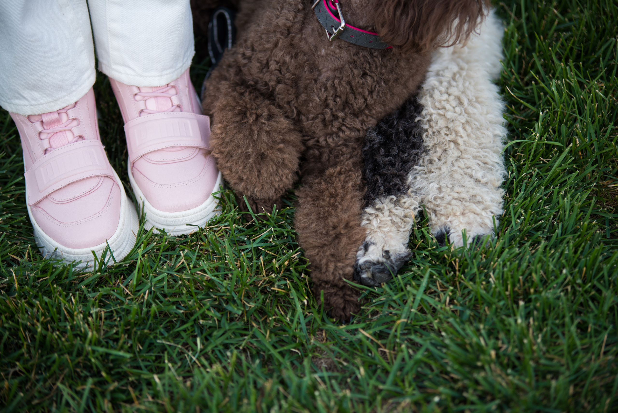 Портфолио. Фотограф-анималист в Екатеринбурге Марина Шишкина