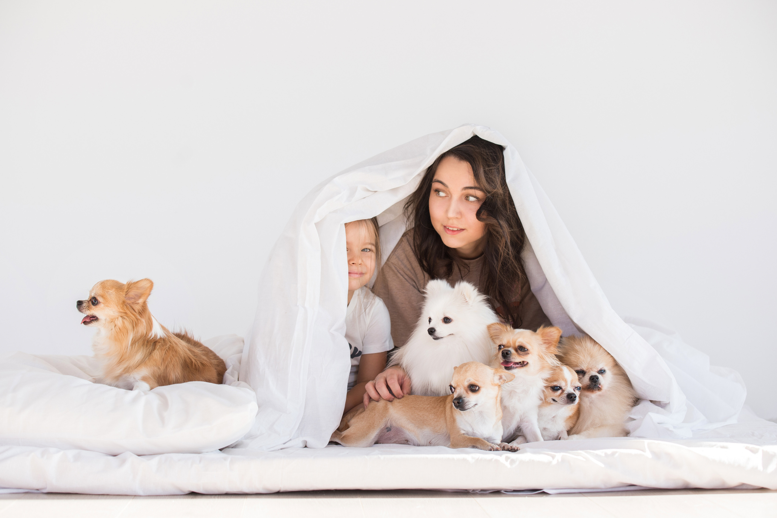 Портфолио. Фотограф-анималист в Екатеринбурге Марина Шишкина