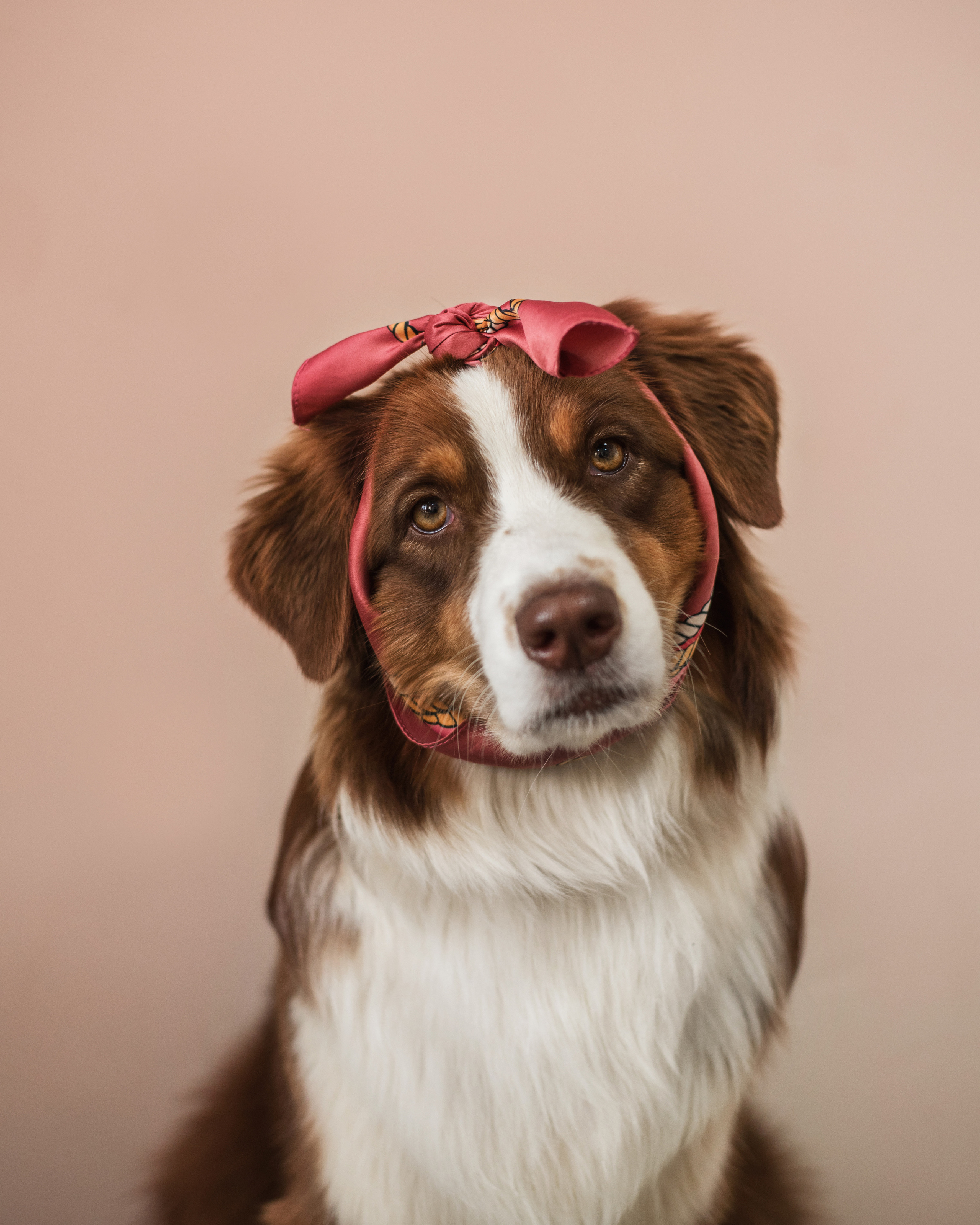 Портфолио. Фотограф-анималист в Екатеринбурге Марина Шишкина