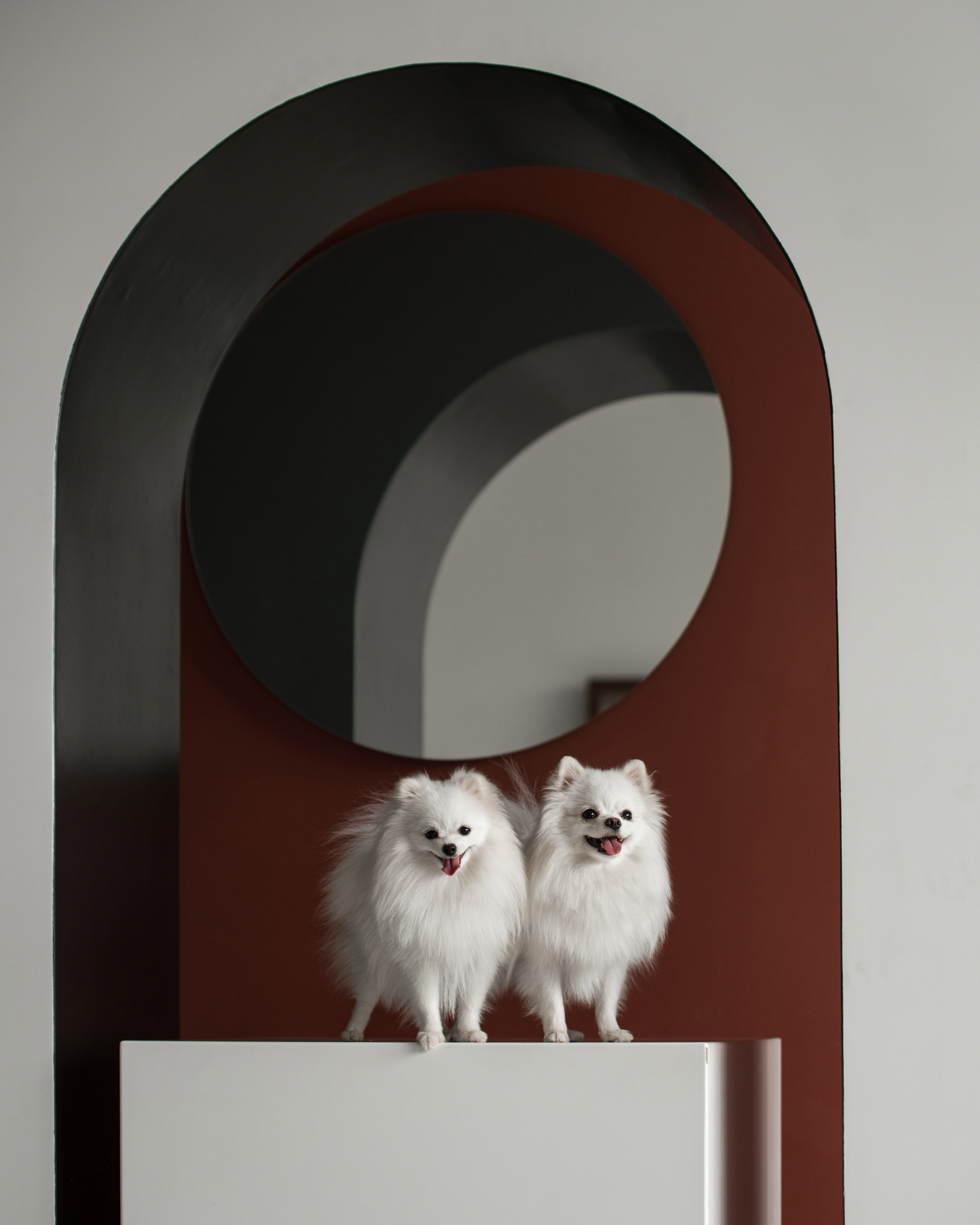 Портфолио. Фотограф-анималист в Екатеринбурге Марина Шишкина