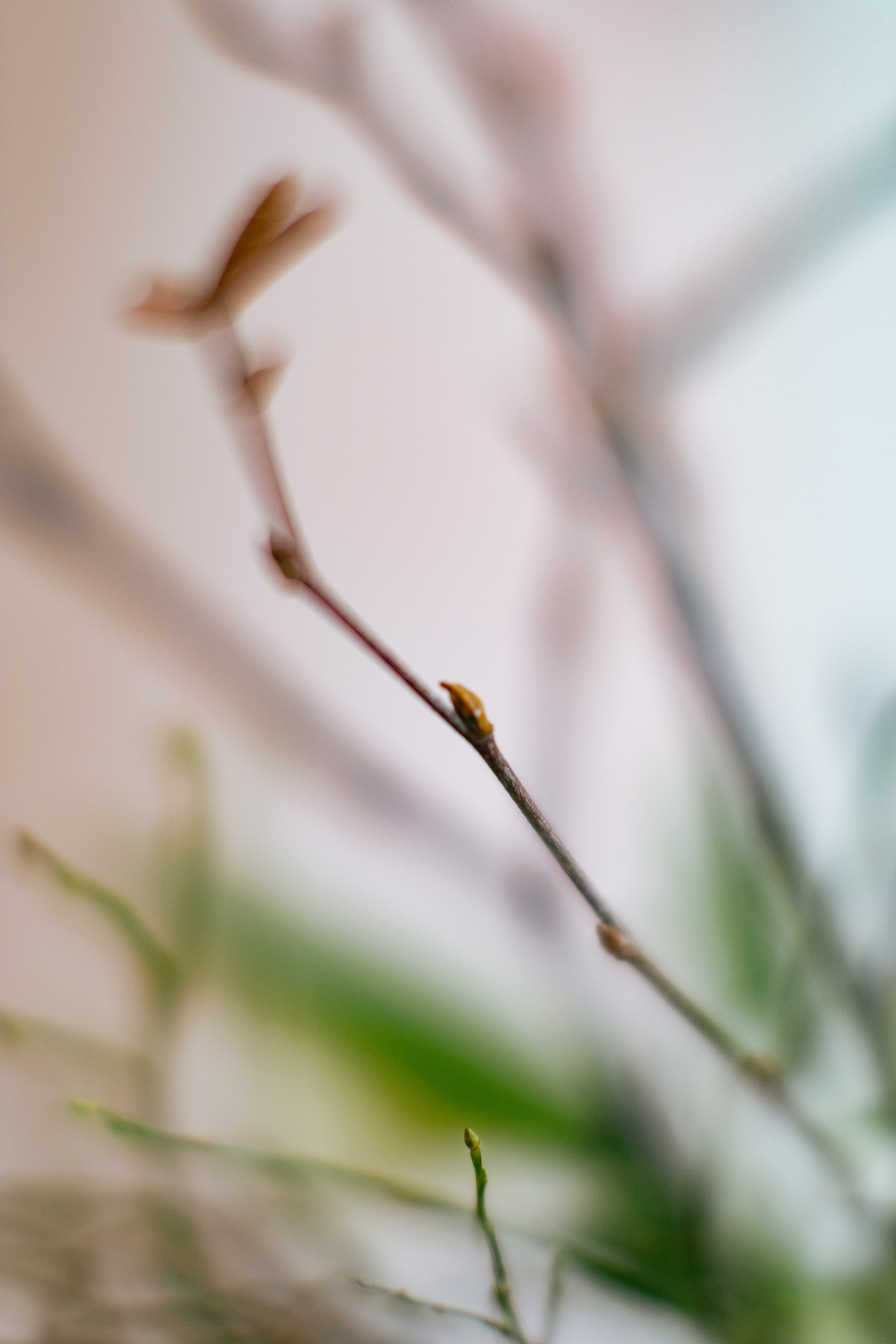 Айк и Юлия. Свадебный Видеограф Фотограф в Сочи