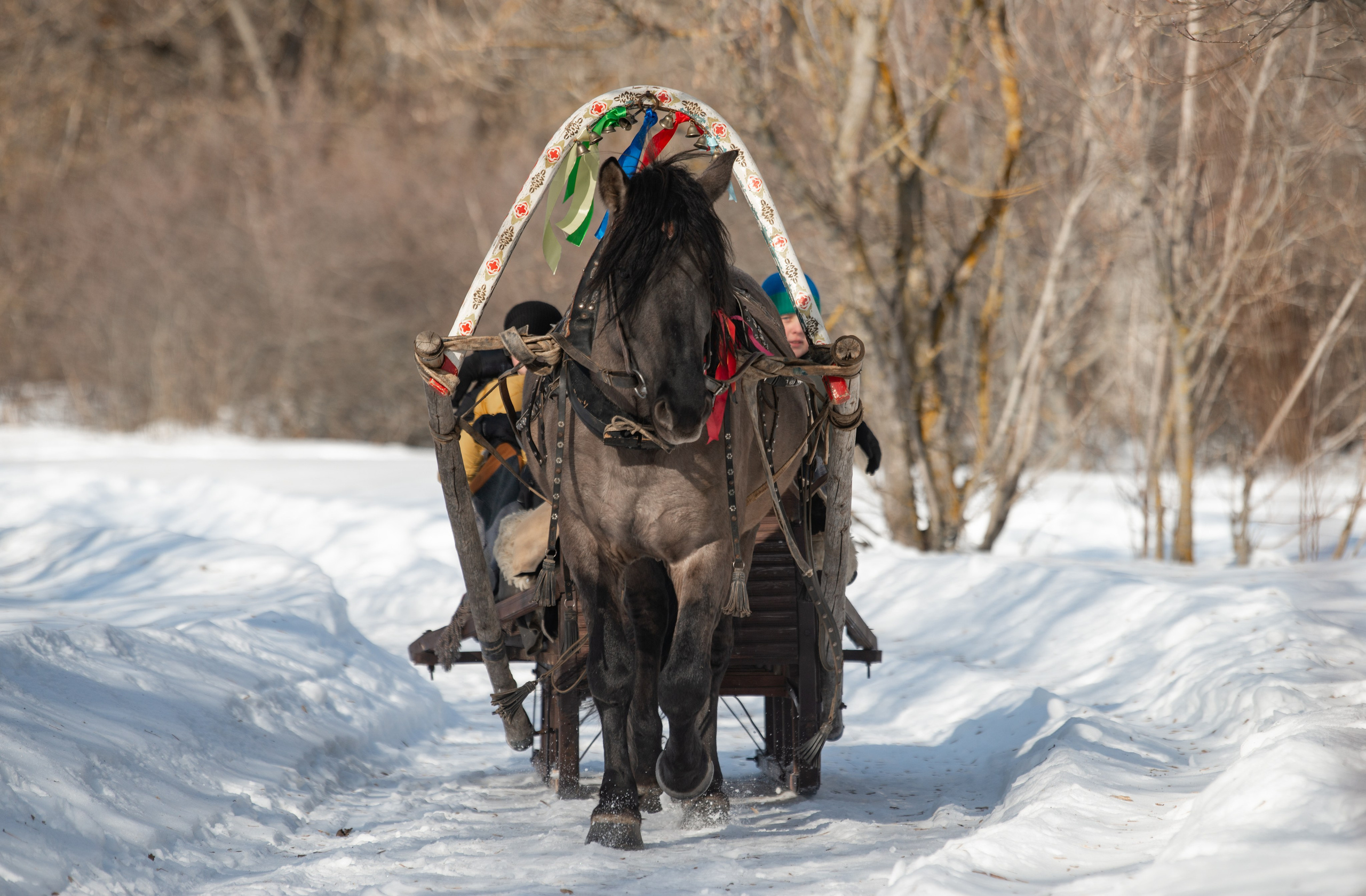 Масленичные гулянья в Боковке. Конный фотограф в Саратове Юлия Иванова