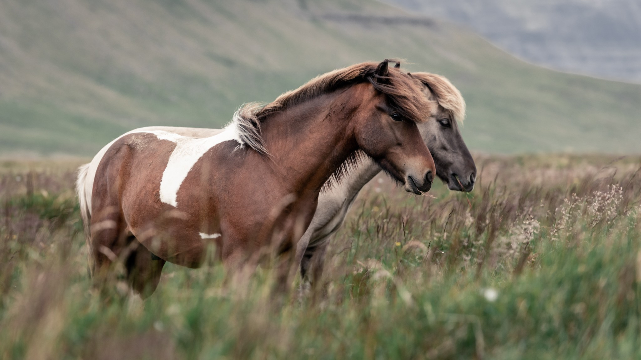 NATURE. Sailing Photographer Marina Semenova