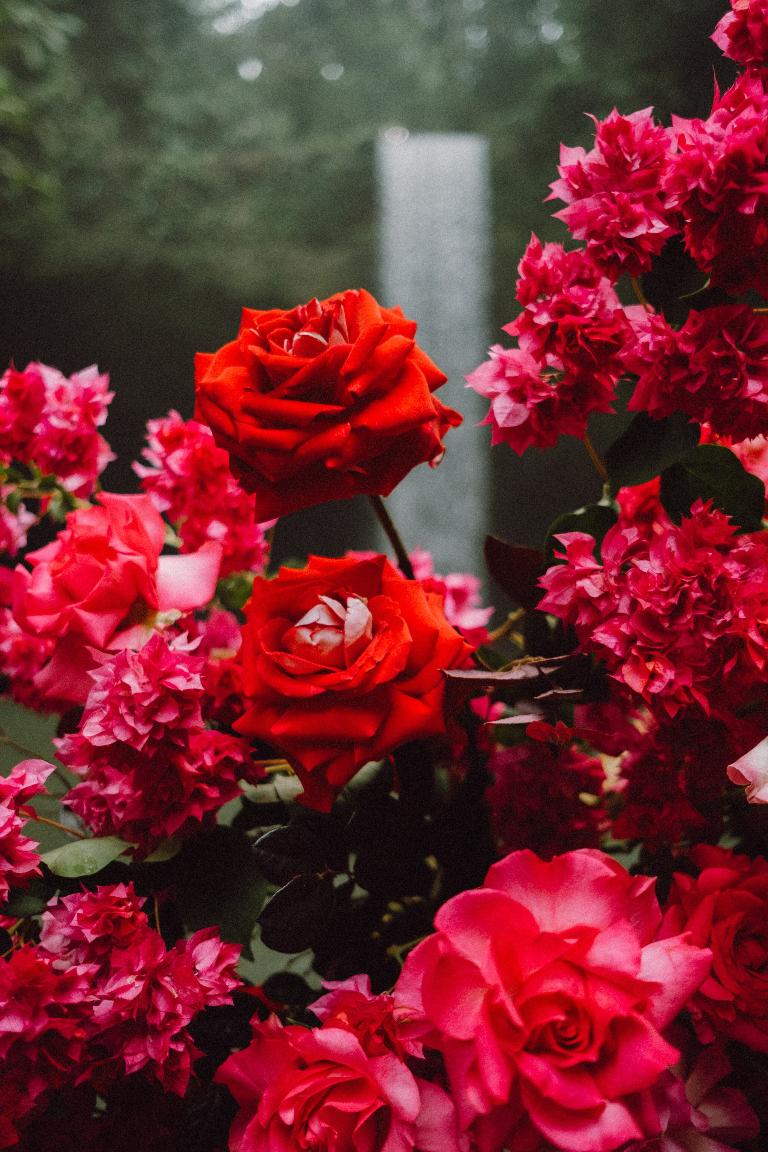 Briana and Tom. Фотограф Бали